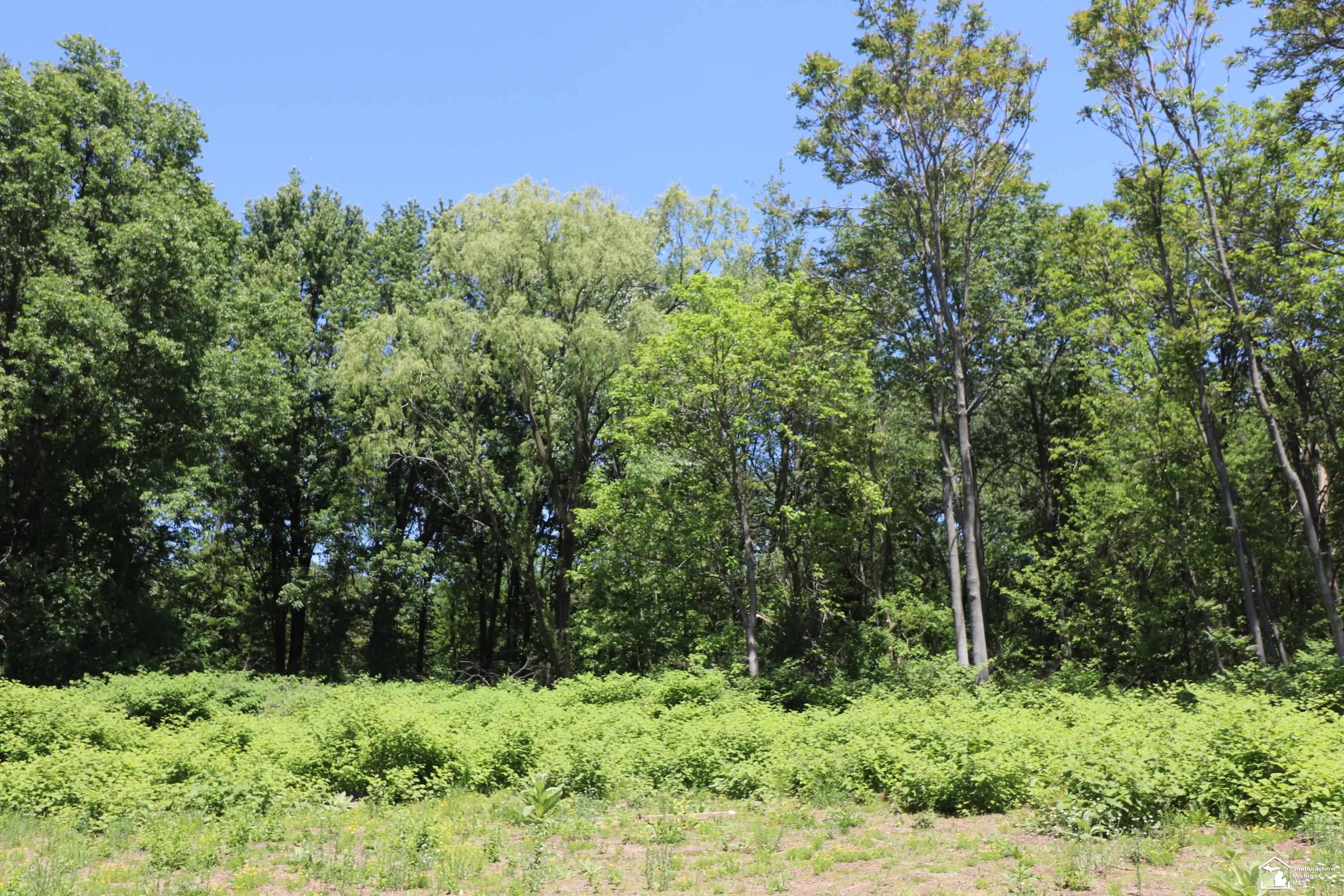 2630 W Temperance Road Property Photo 9