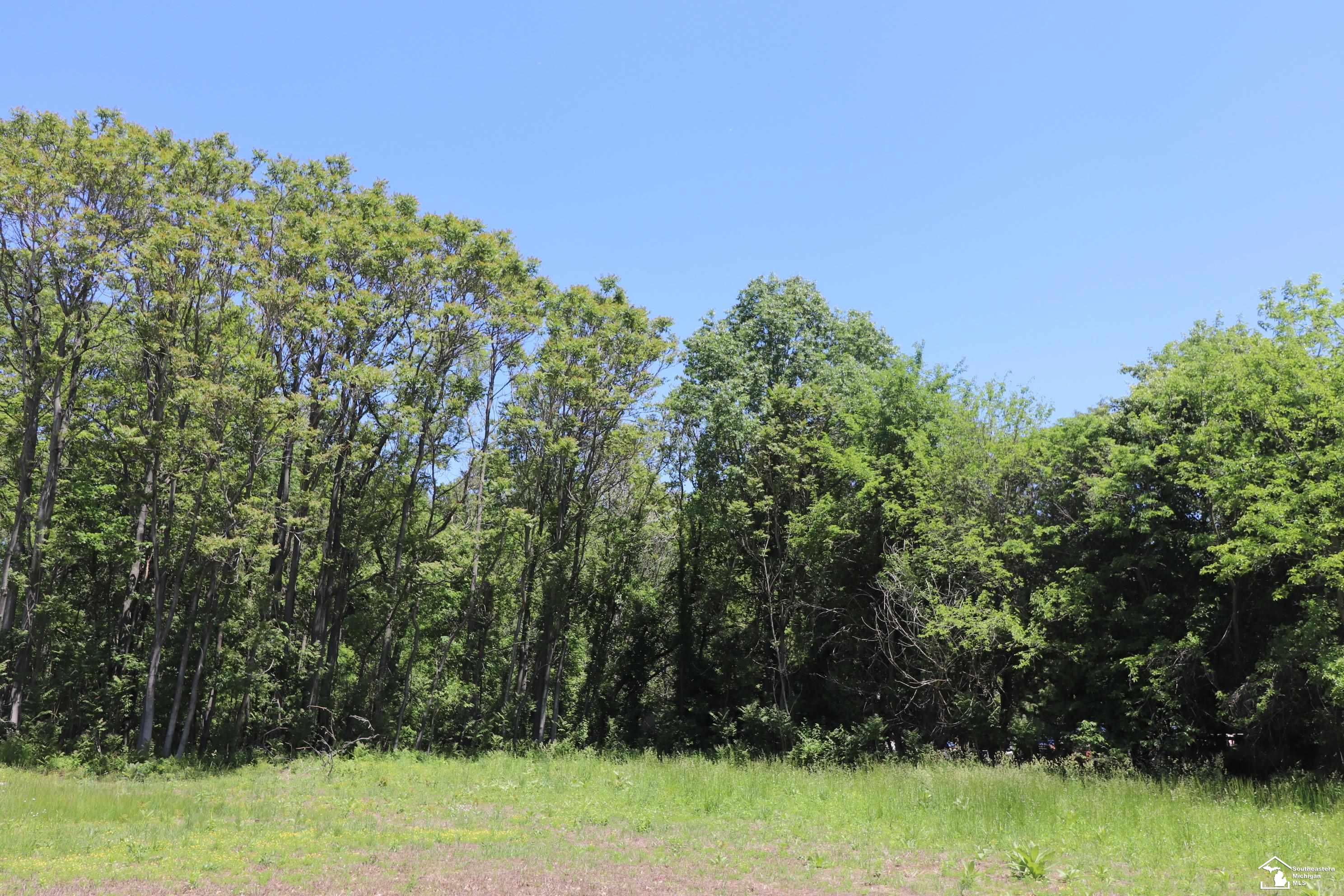 2630 W Temperance Road Property Photo 10