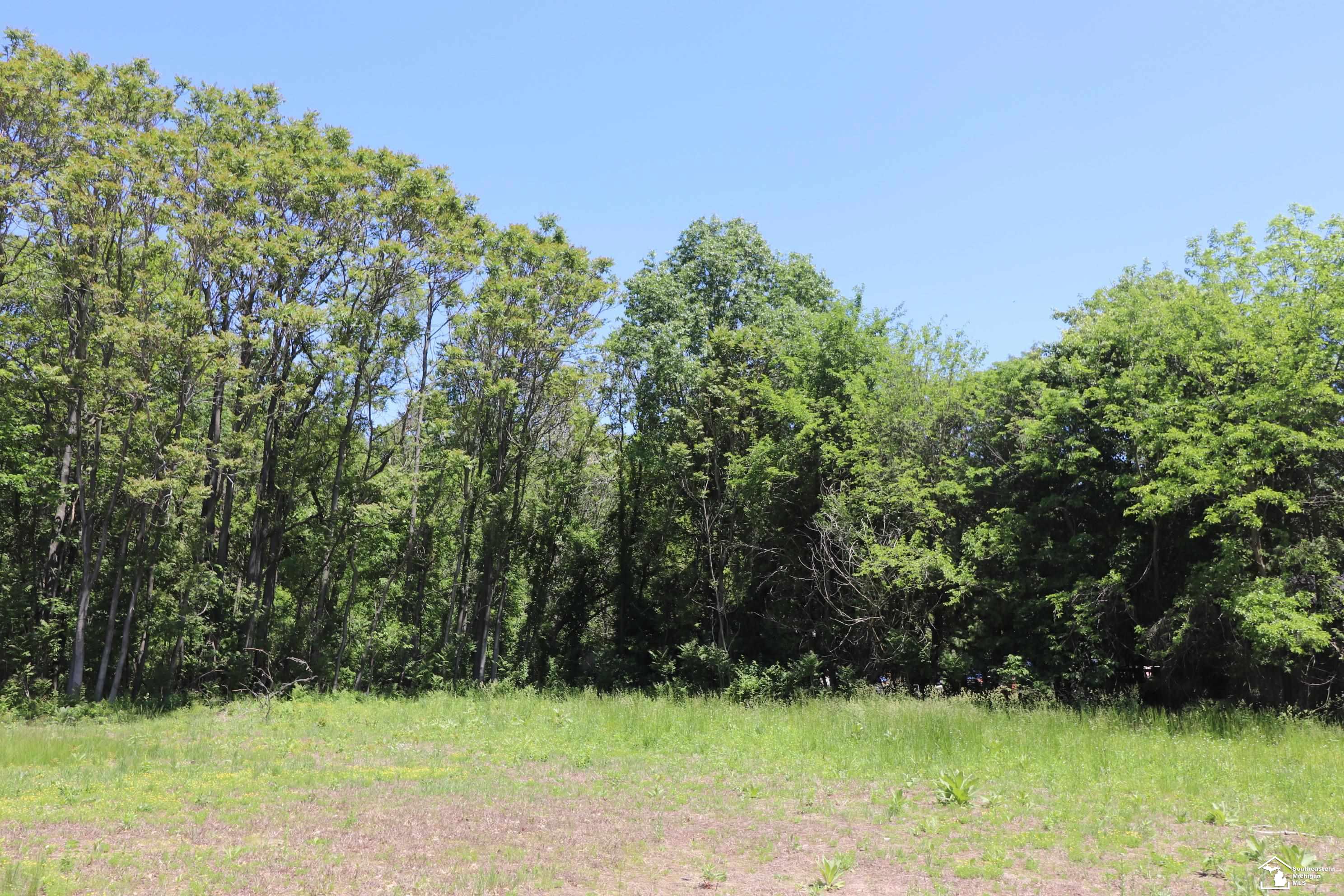 2630 W Temperance Road Property Photo 11