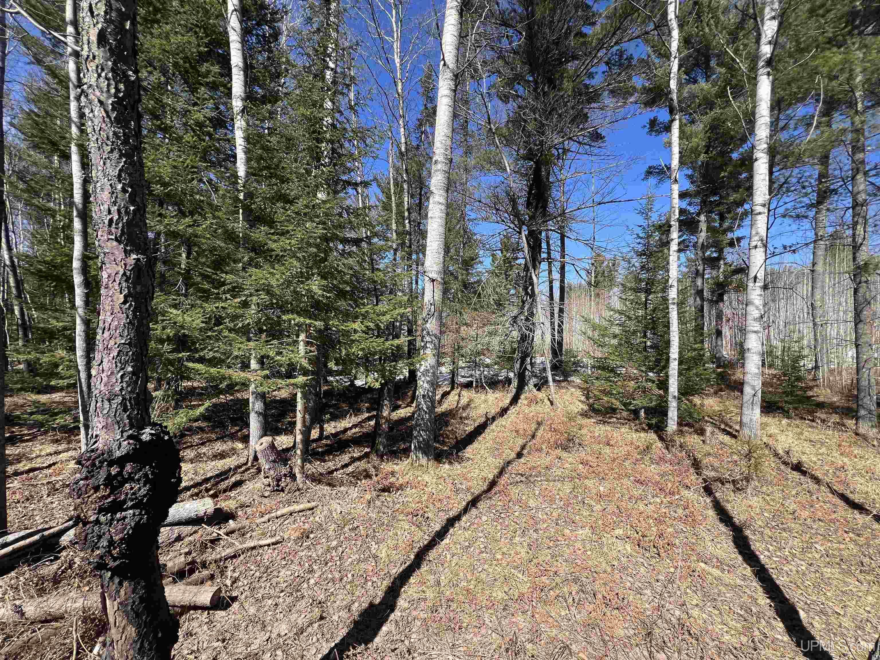 Tbd Co 424 Road Property Photo 1