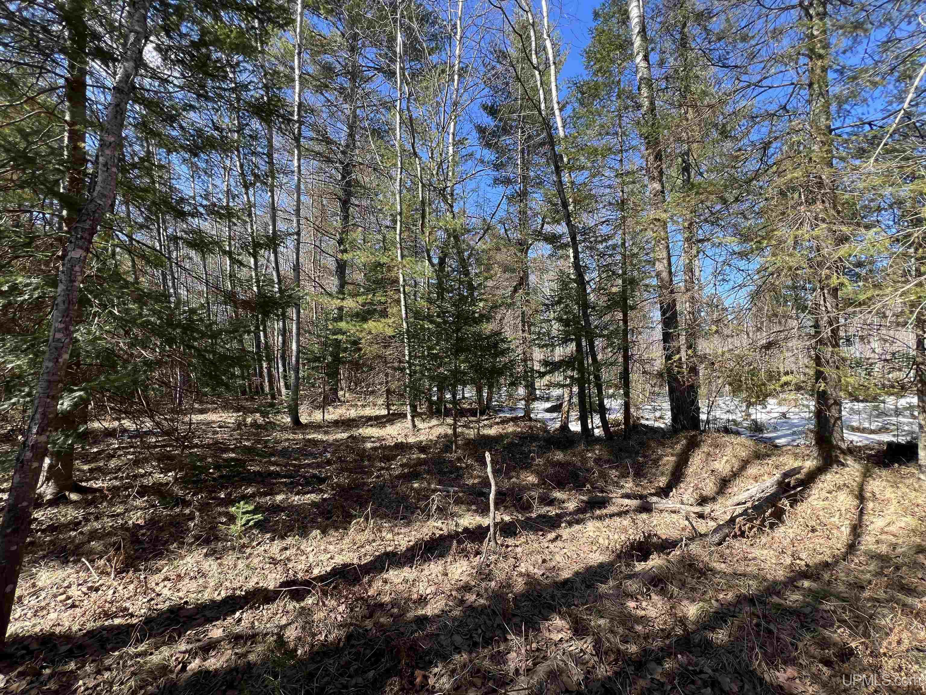 Tbd Co 424 Road Property Photo 5