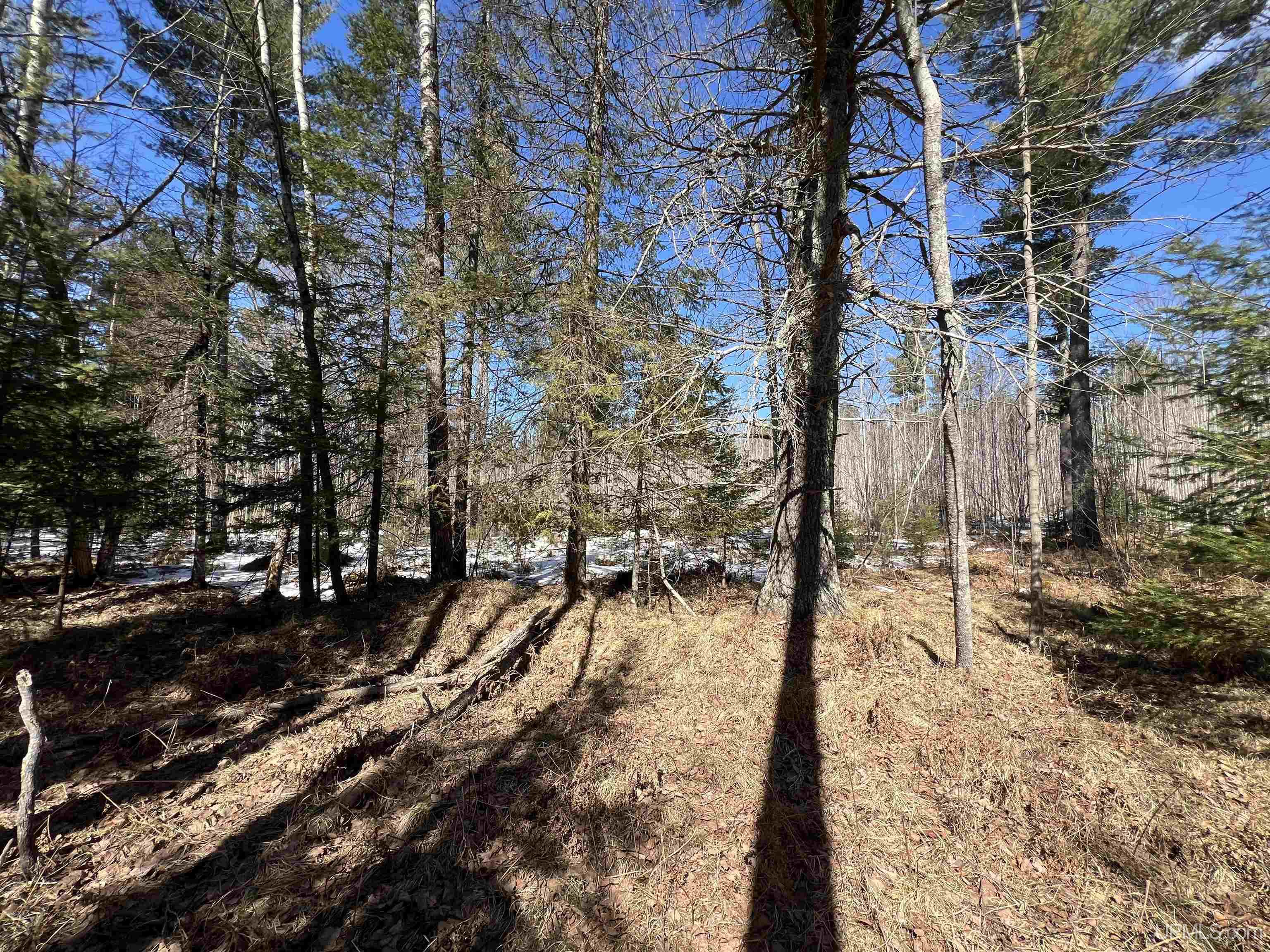 Tbd Co 424 Road Property Photo 6