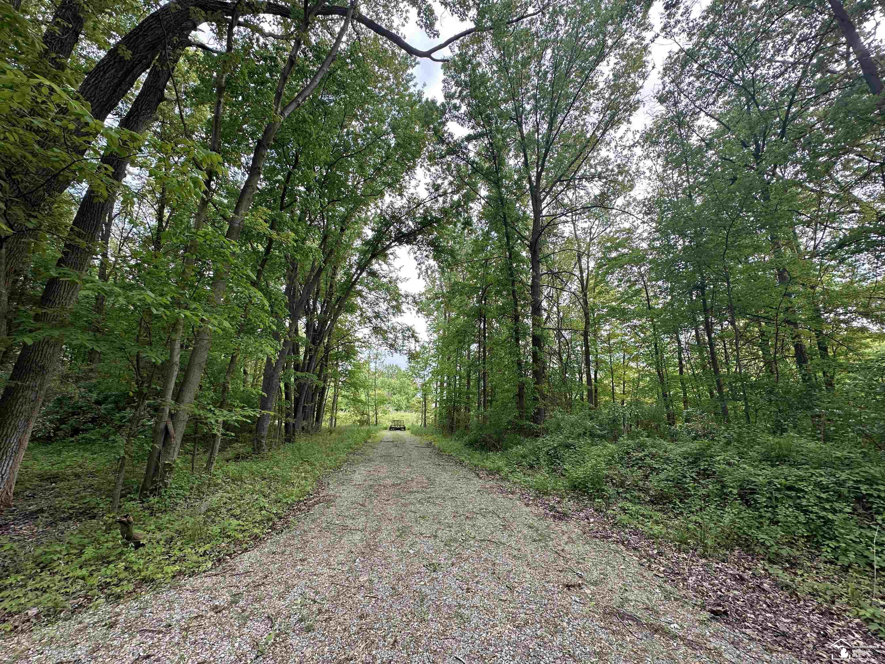 3886 Douglas Road Property Photo 5
