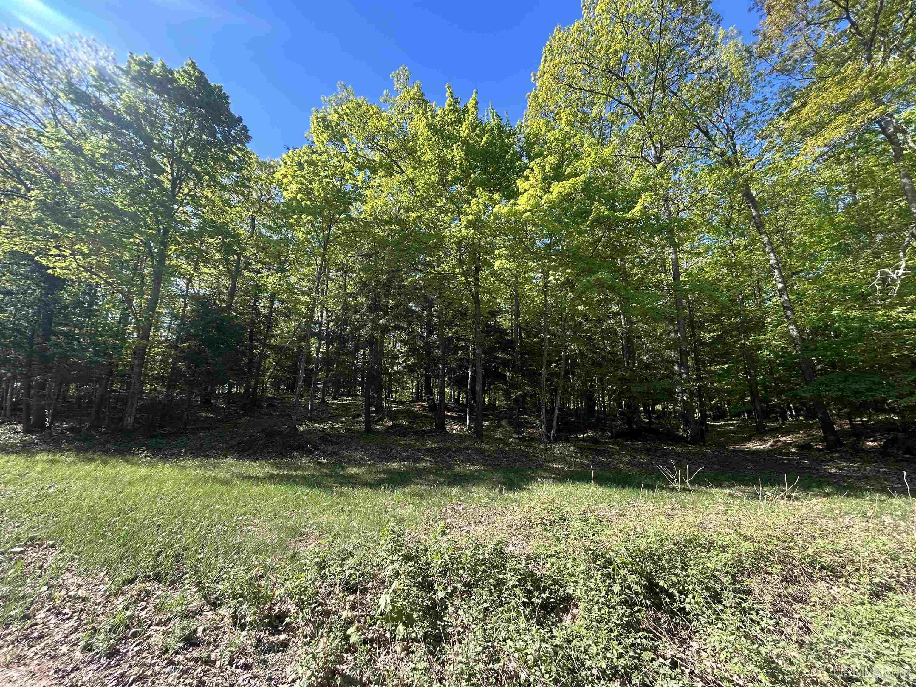 Tbd Mcclure Dam Road Property Photo 1