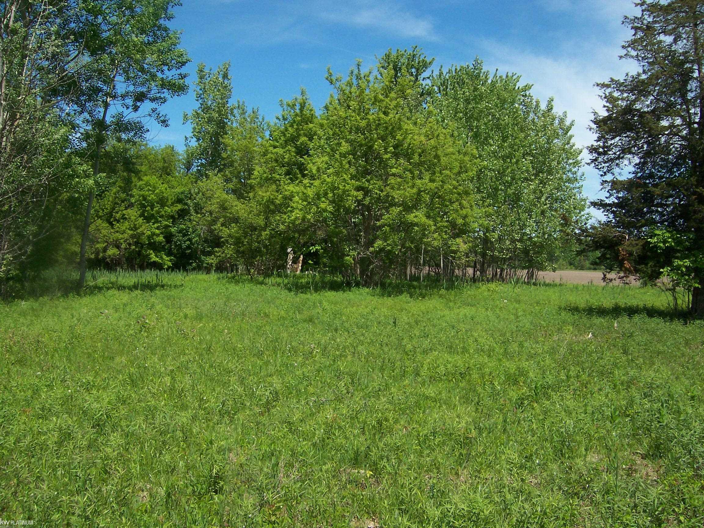 Lot 1 Lapeer Rd Road Property Photo 1