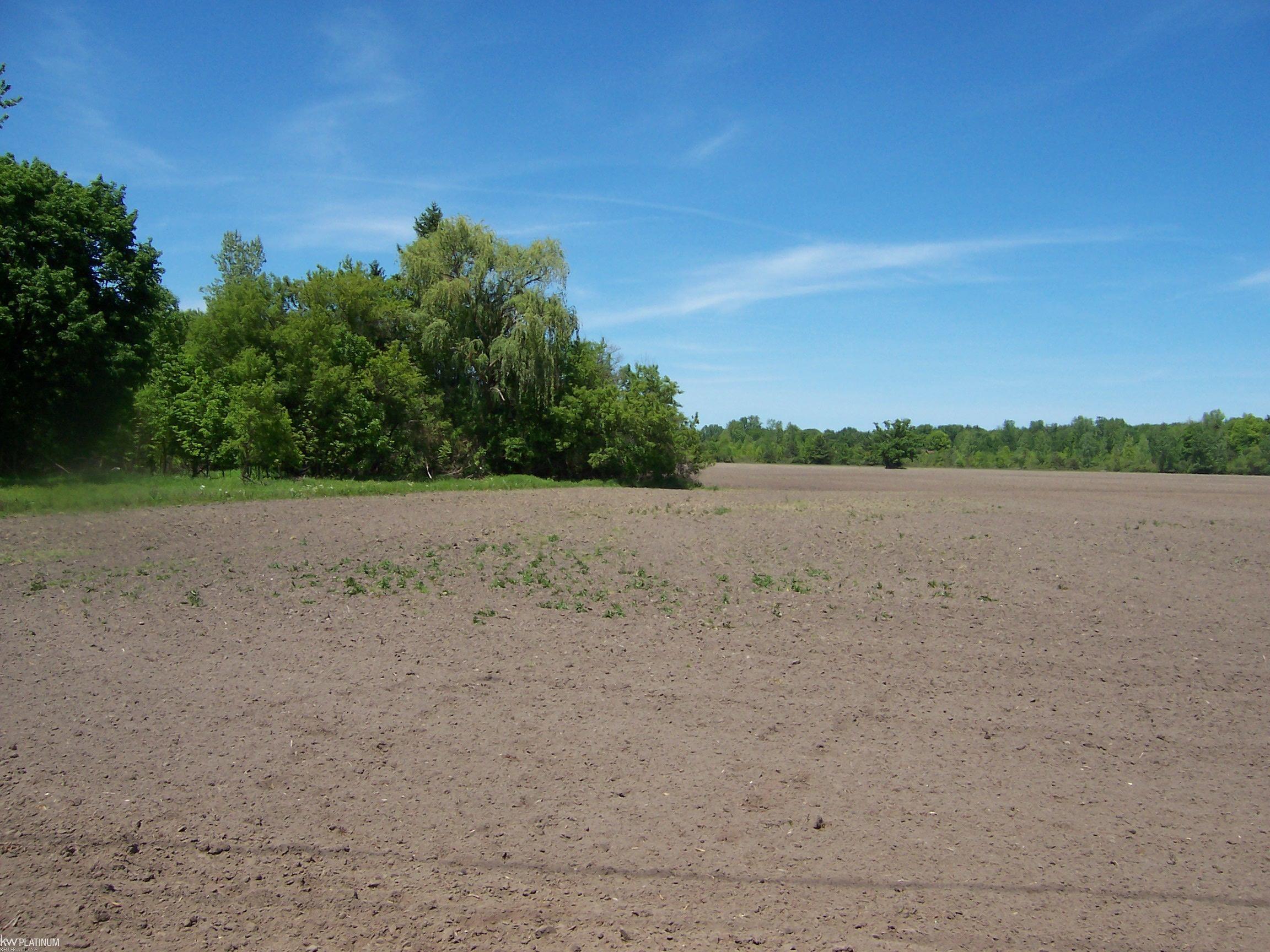 Lot 3 Lapeer Rd Road Property Photo 1