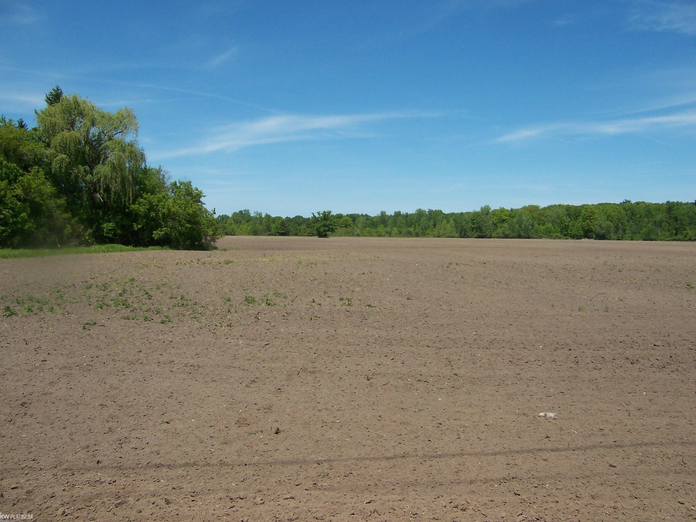 Lot 3 Lapeer Rd Road Property Photo 2