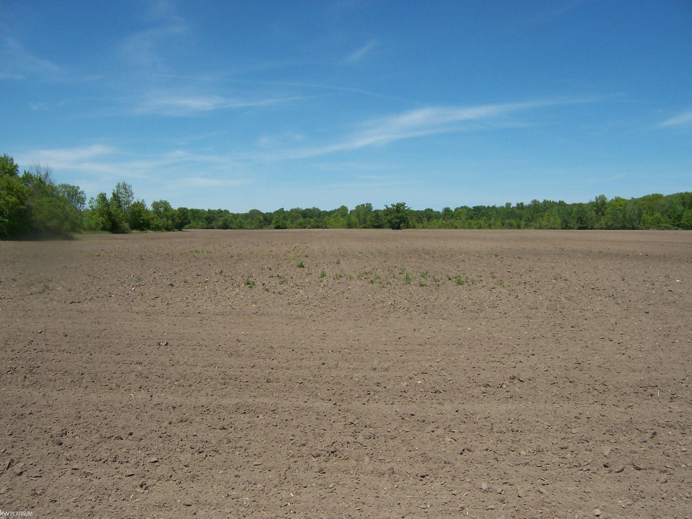 Lot 4 Lapeer Rd Road Property Photo 1