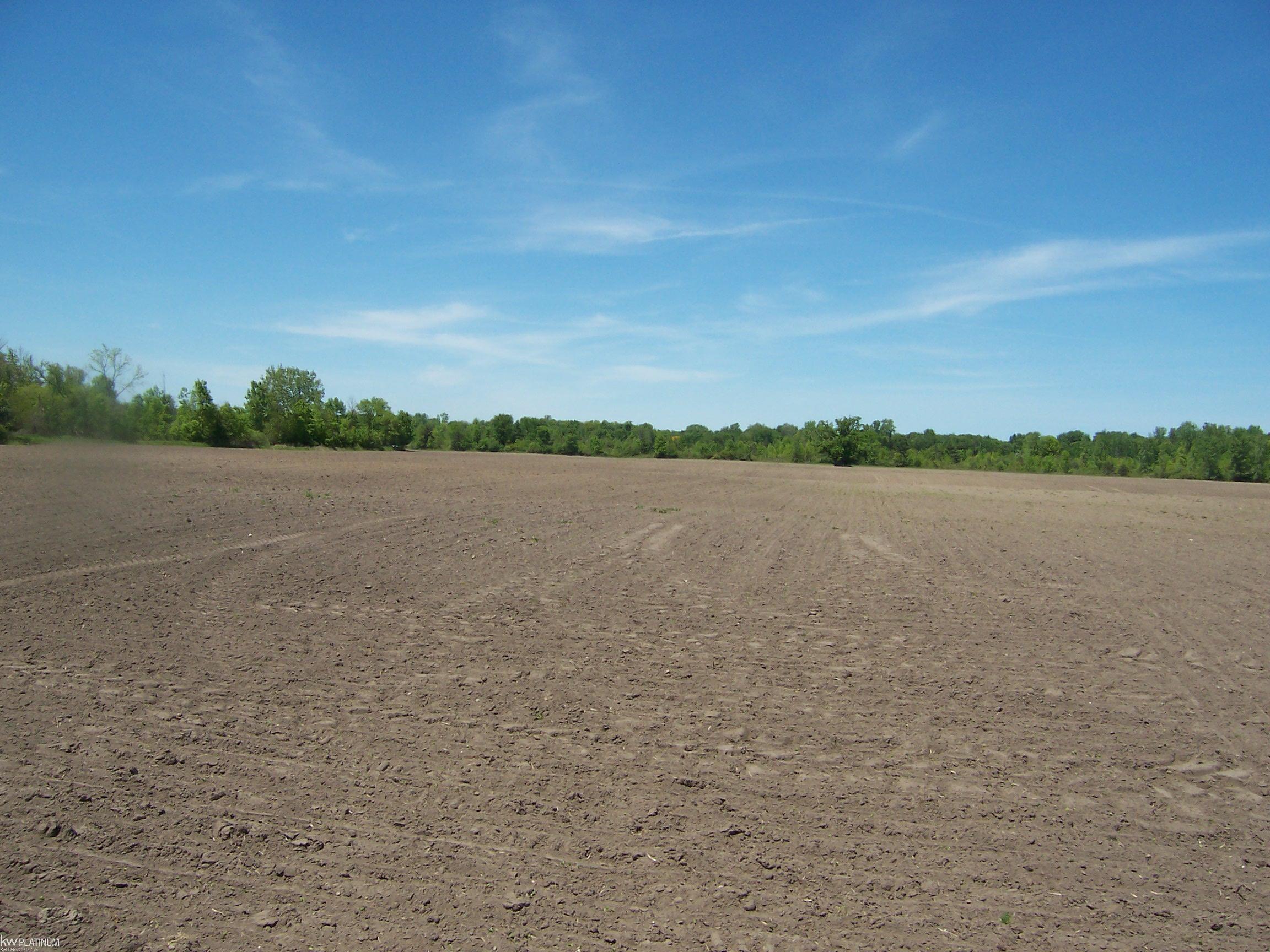 Lot 5 Lapeer Rd Road Property Photo 1