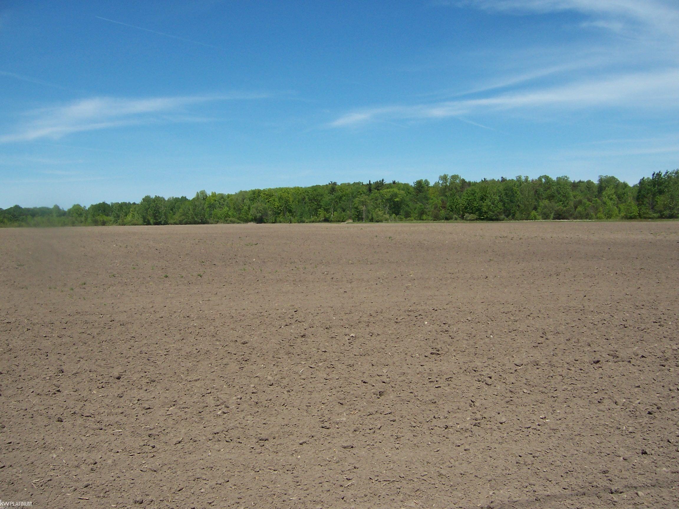 Lot 6 Lapeer Rd Road Property Photo 1