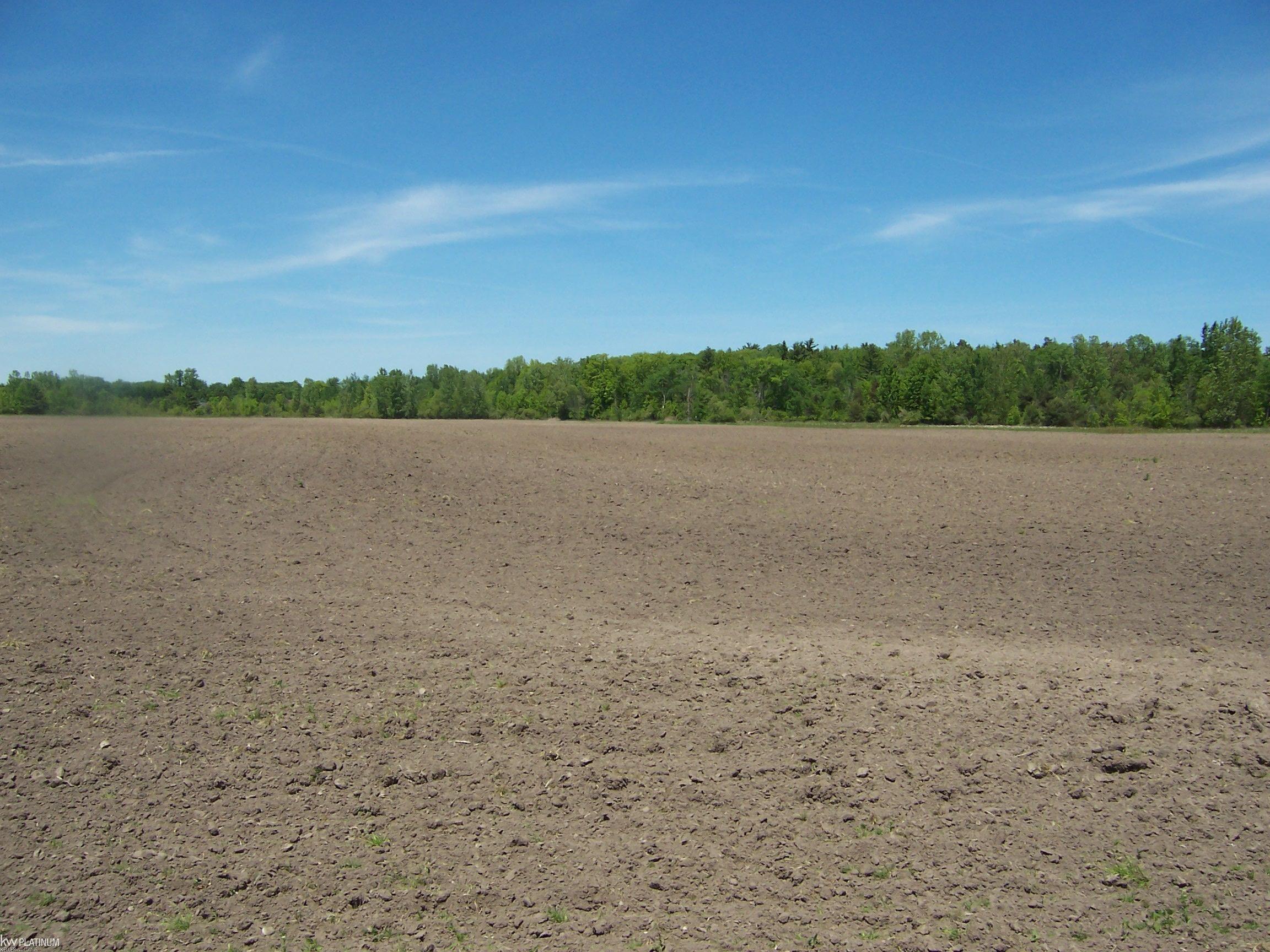 Lot 7 Lapeer Rd Road Property Photo 1