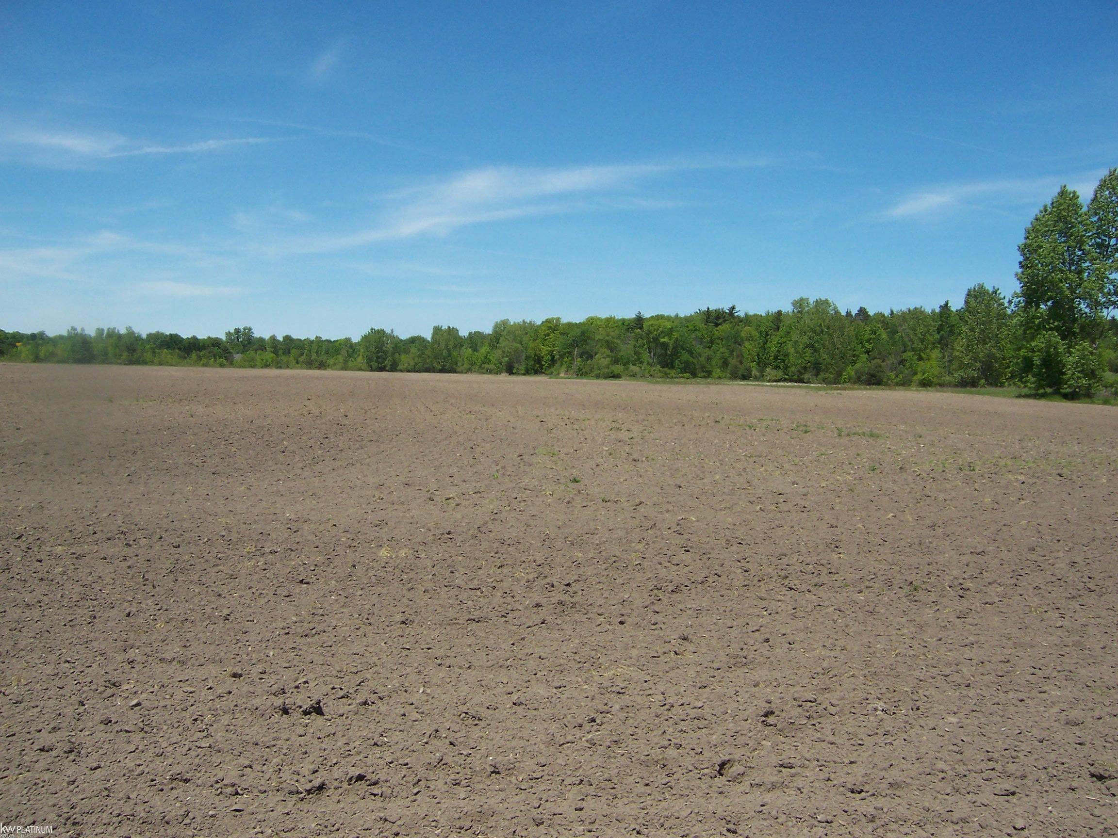 Lot 8 Lapeer Rd Road Property Photo 1