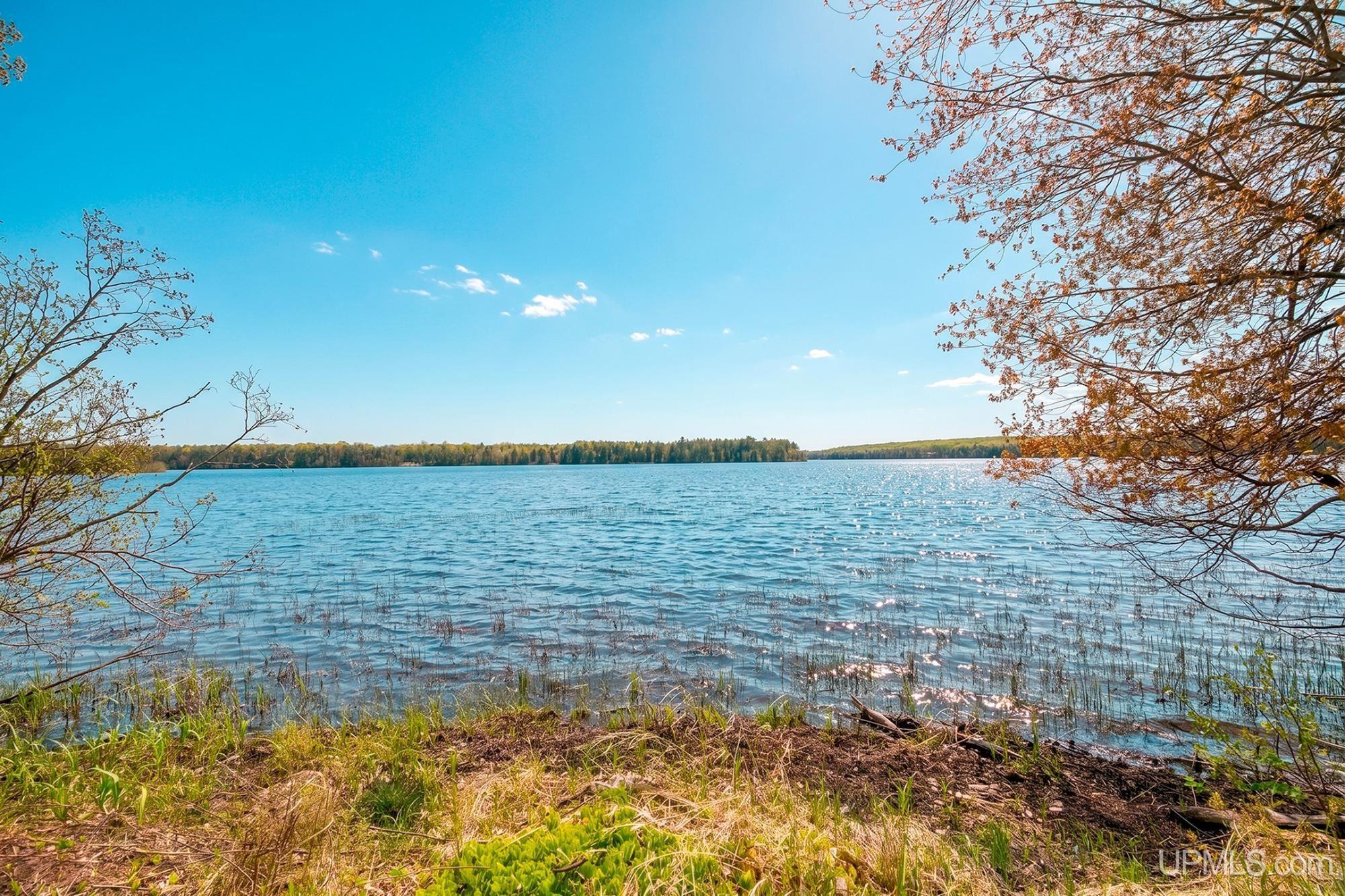 N2862 Forest Road 6320 Road Property Photo 61