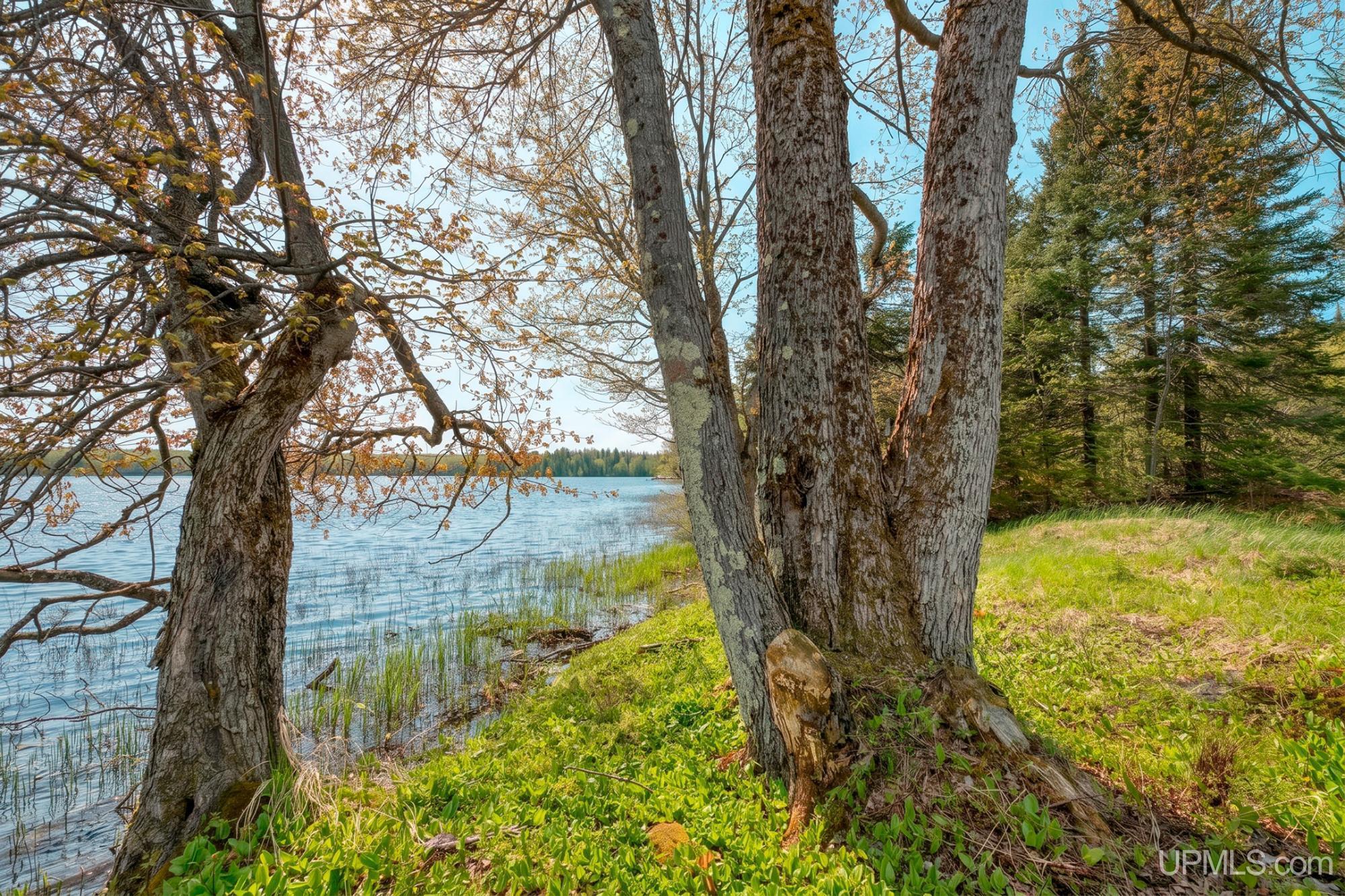 N2862 Forest Road 6320 Road Property Photo 62