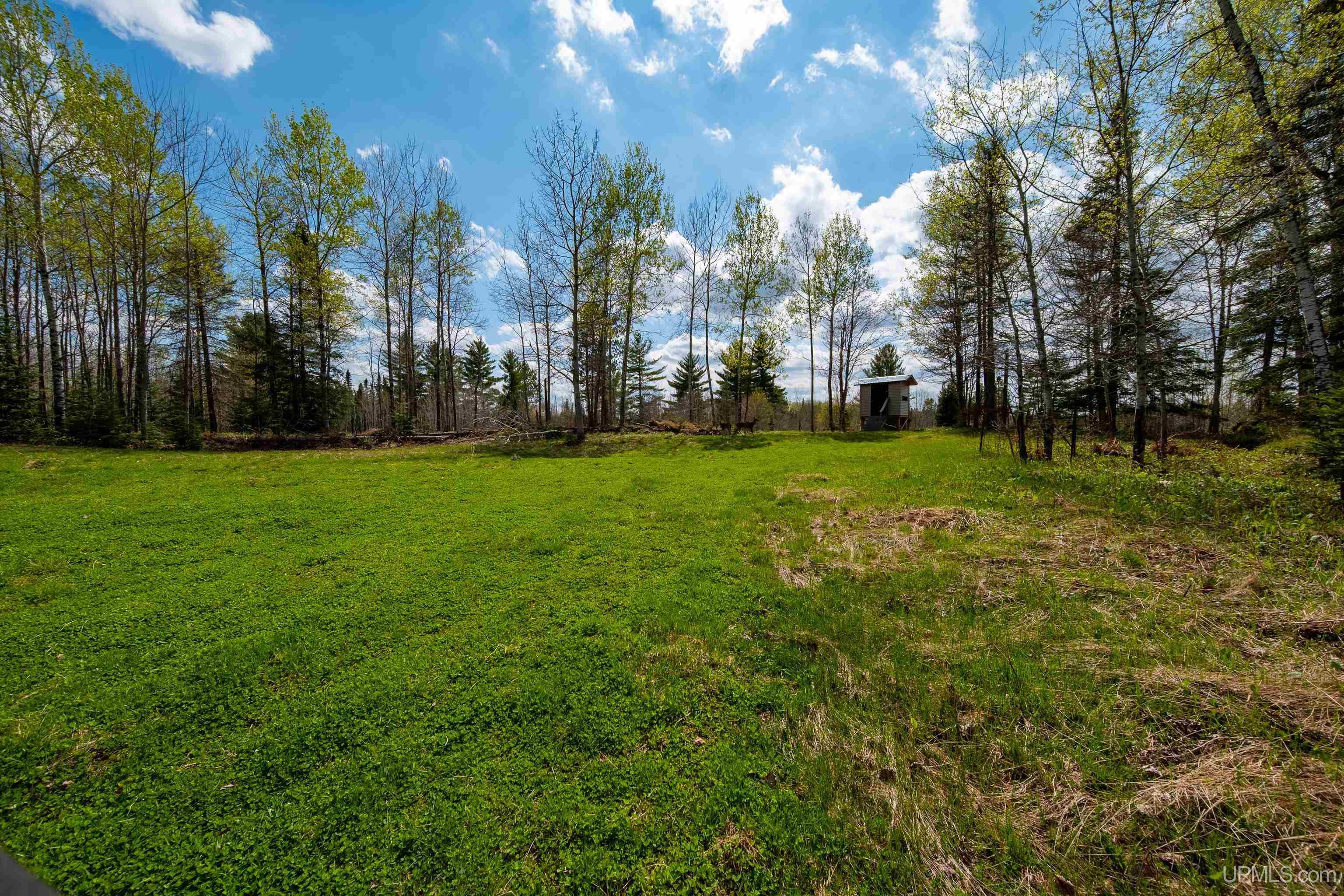 1325 County Road Fi Road Property Photo 58