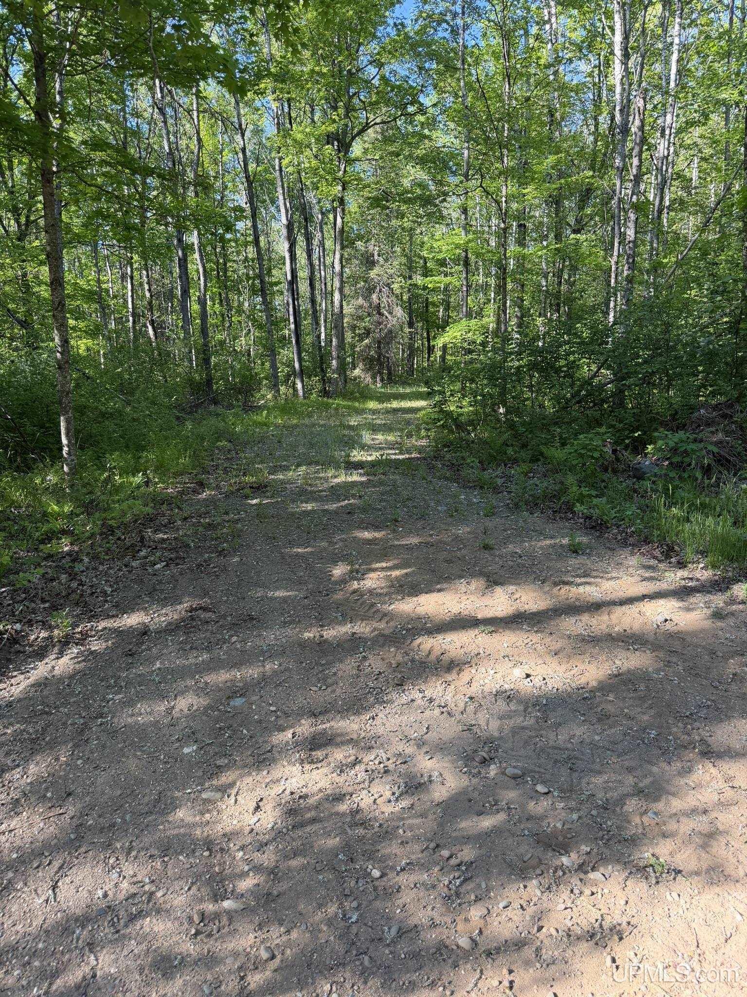 Tbd Off Of Dream Lake Rd Lot 2 Road Property Photo 2