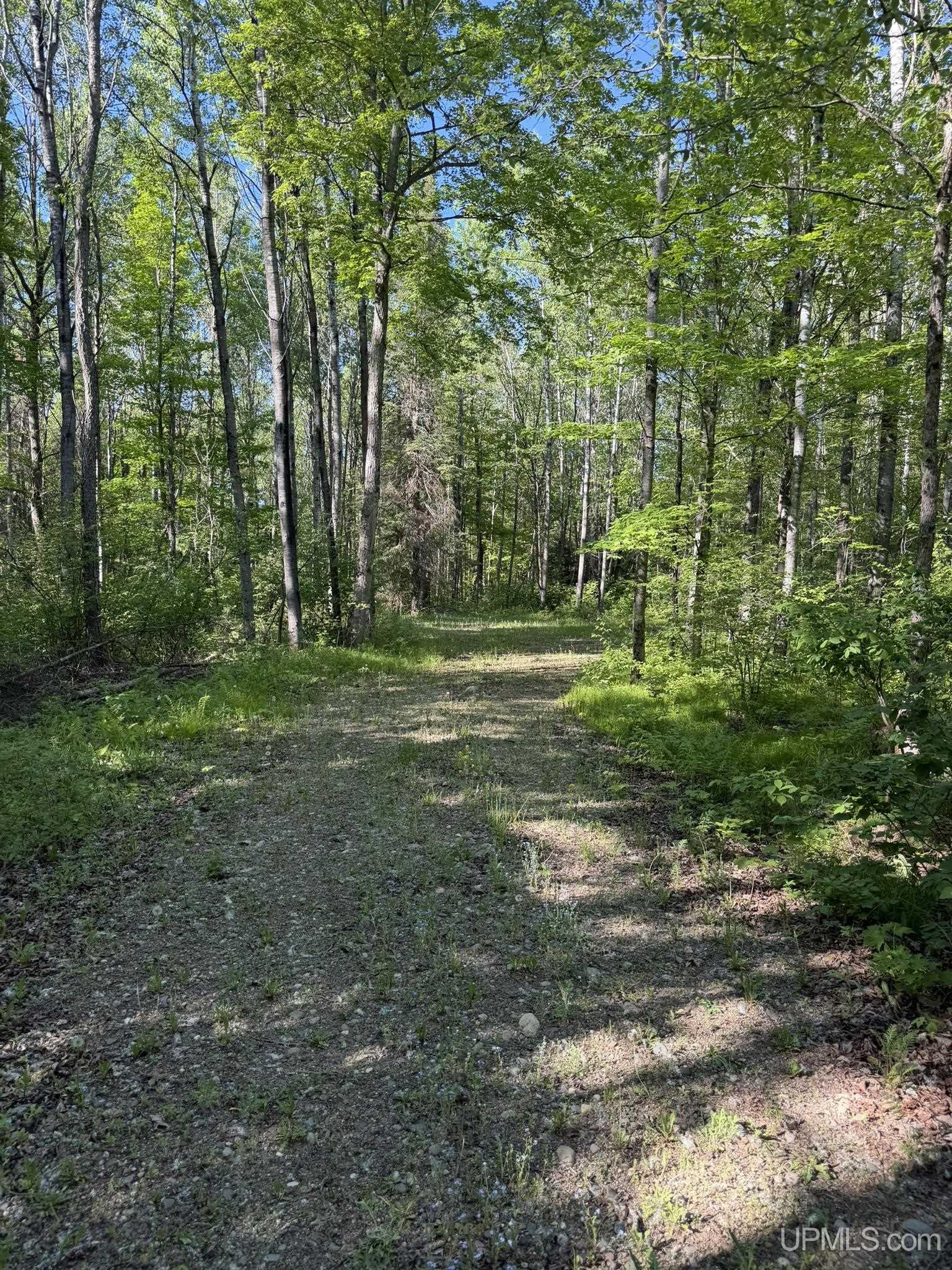 Tbd Off Of Dream Lake Rd Lot 2 Road Property Photo 3