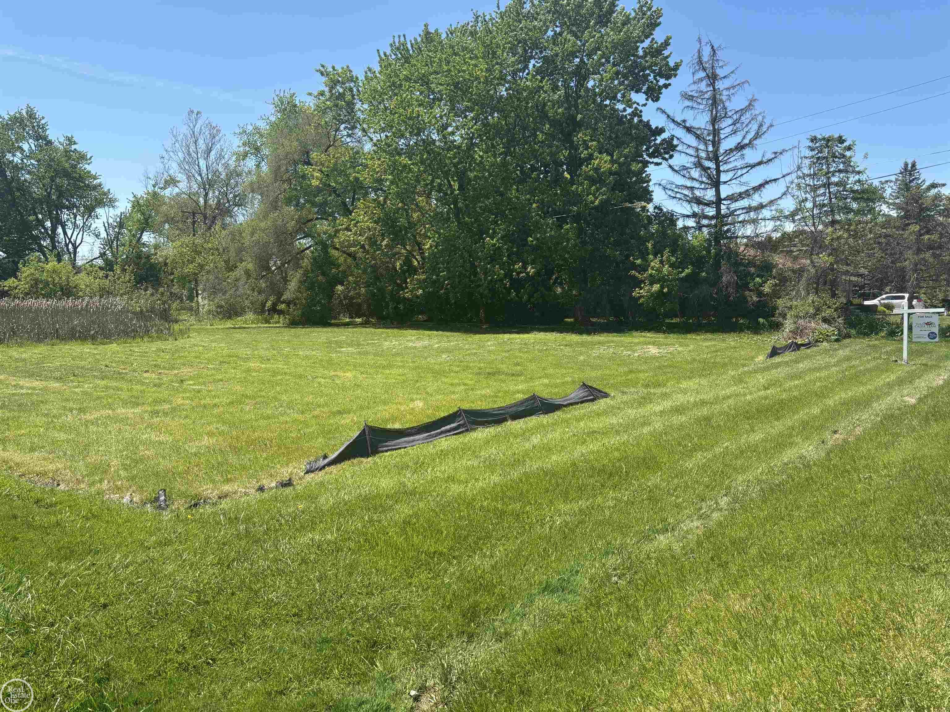 23100 Jamison Drive Property Photo 5