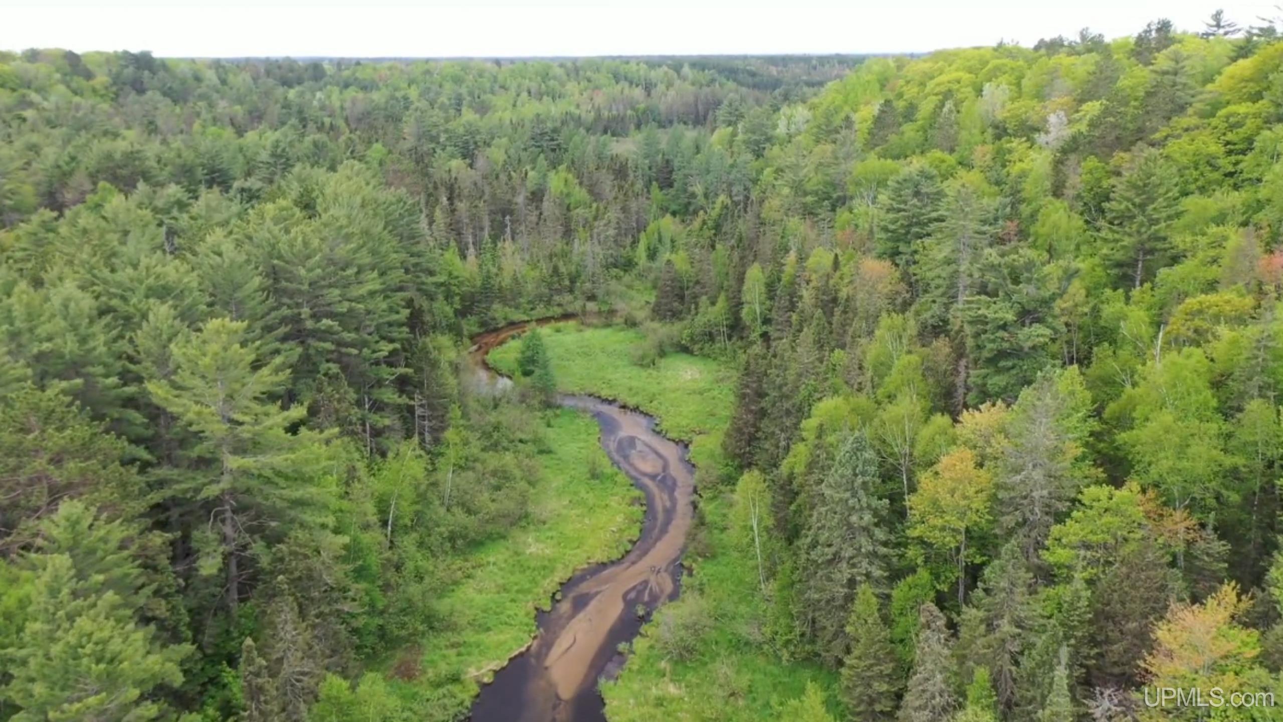 Tbd M-94 Highway Property Photo 1