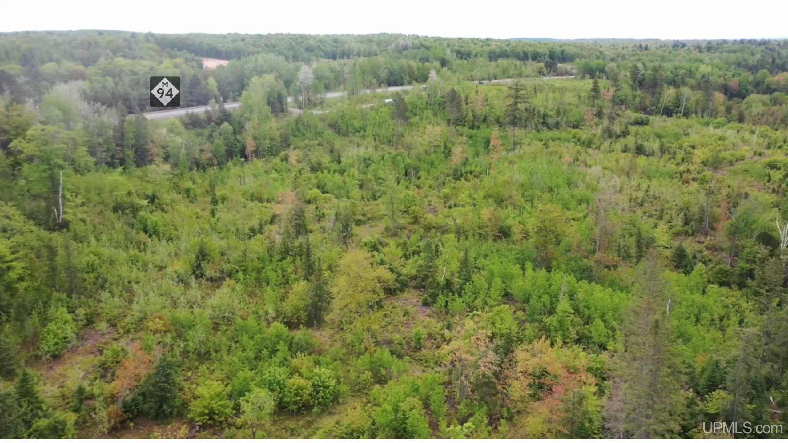 Tbd M-94 Highway Property Photo 3