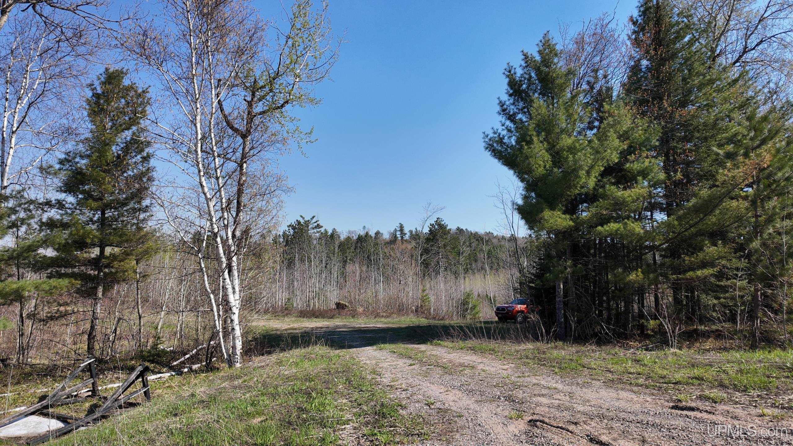 Tbd M-94 Highway Property Photo 5