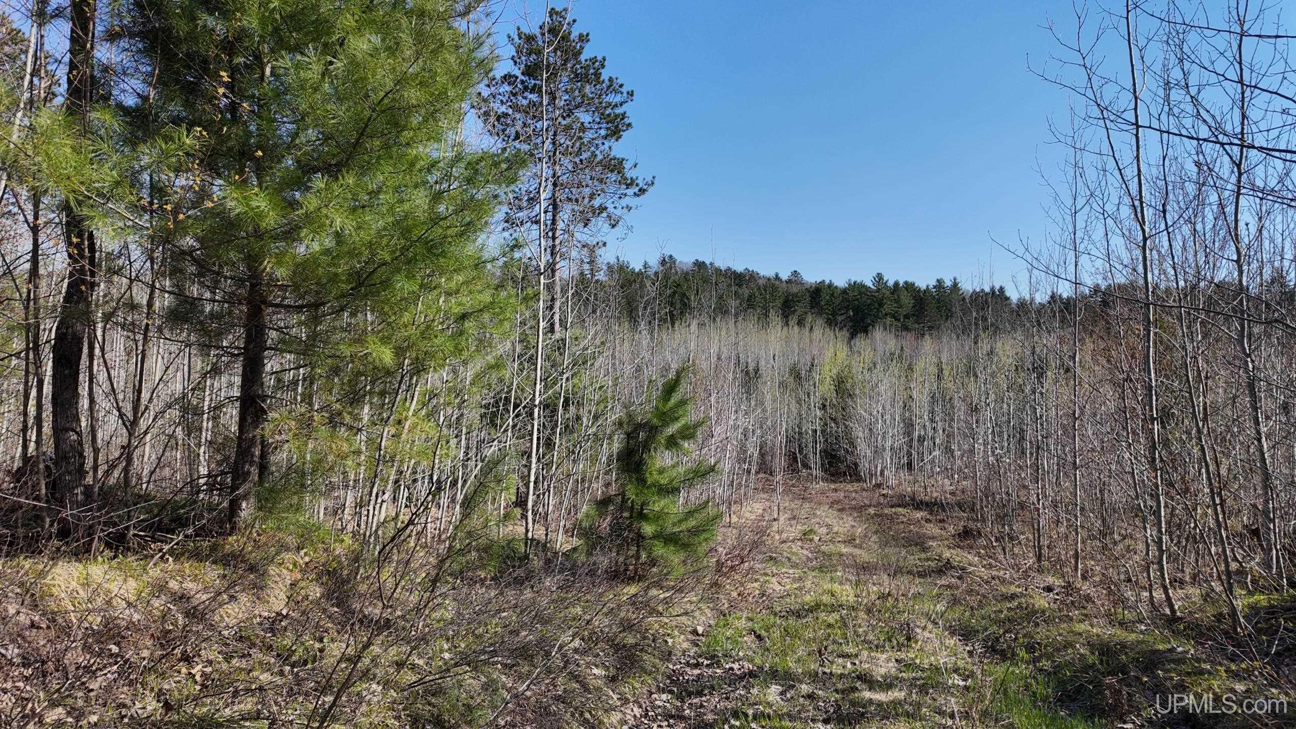 Tbd M-94 Highway Property Photo 6