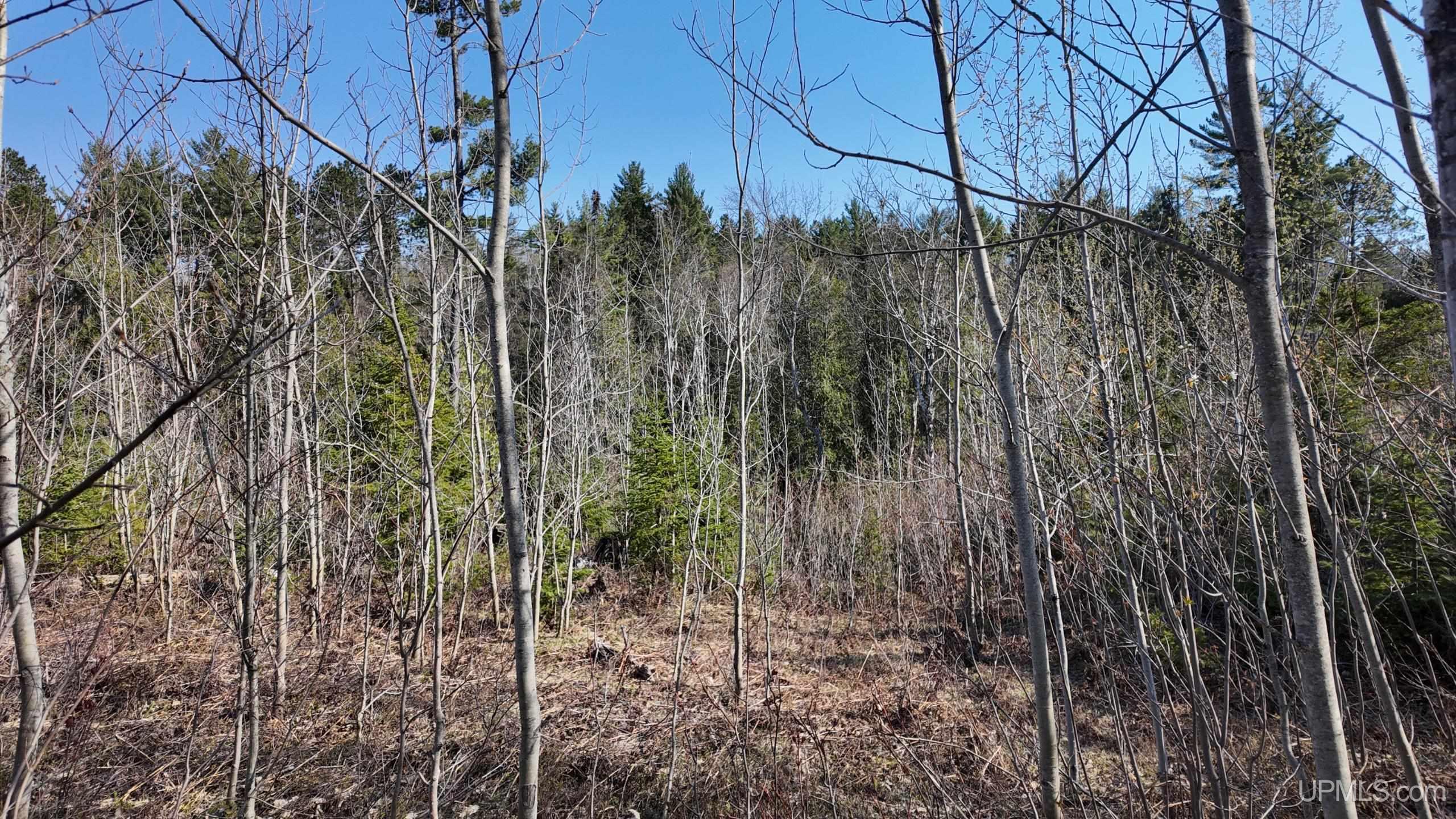 Tbd M-94 Highway Property Photo 7