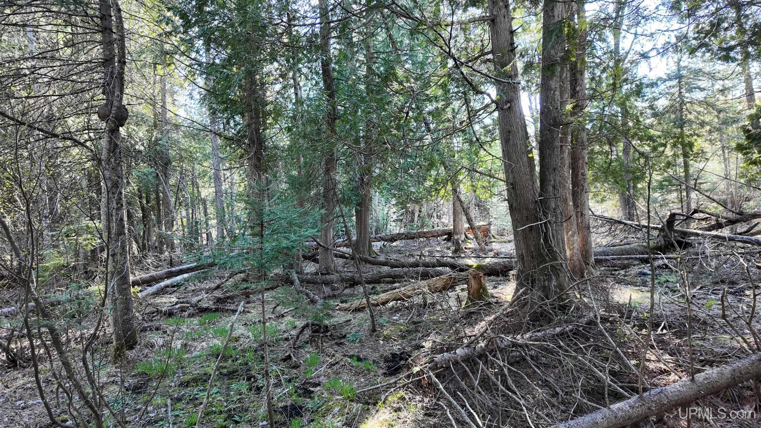 Tbd M-94 Highway Property Photo 9