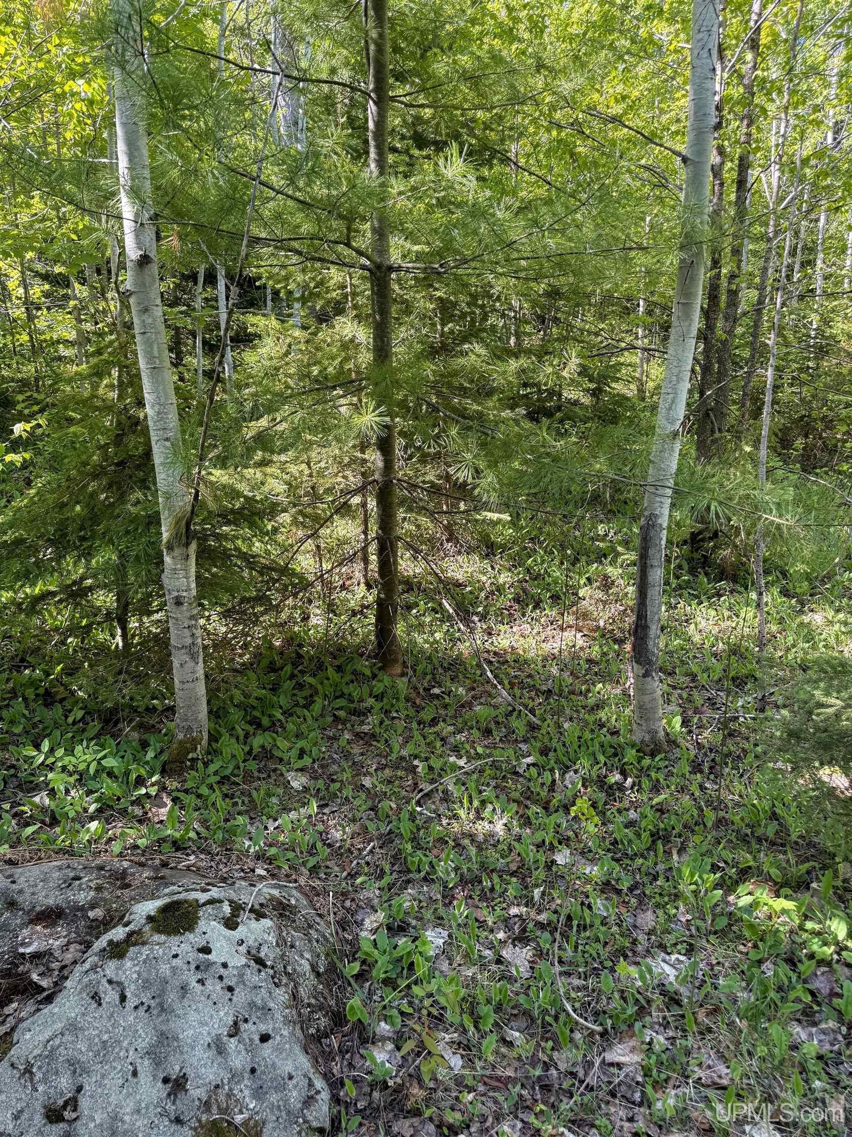 Lot A Gratiot River Road Property Photo 20