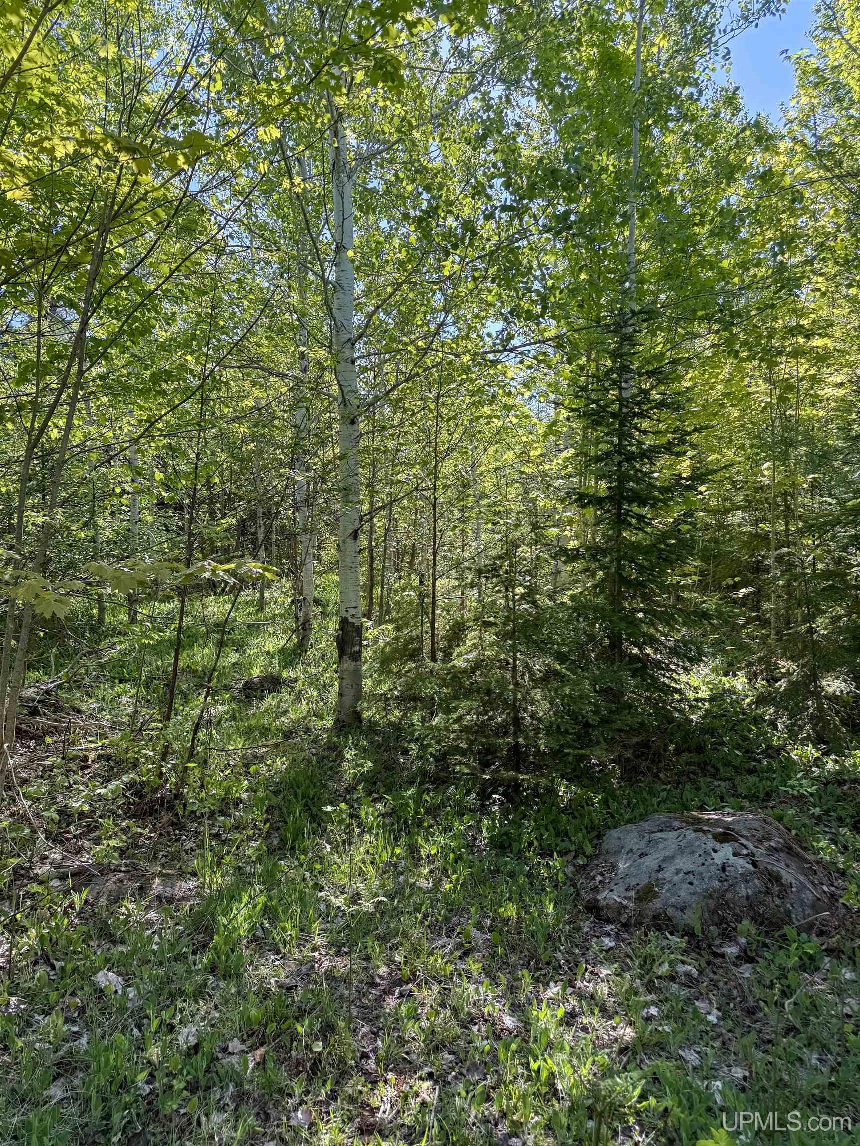 Lot A Gratiot River Road Property Photo 21