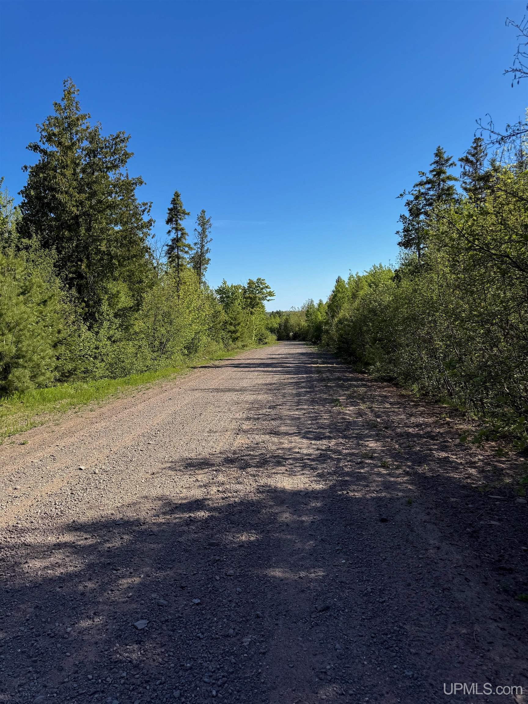 Lot A Gratiot River Road Property Photo 35