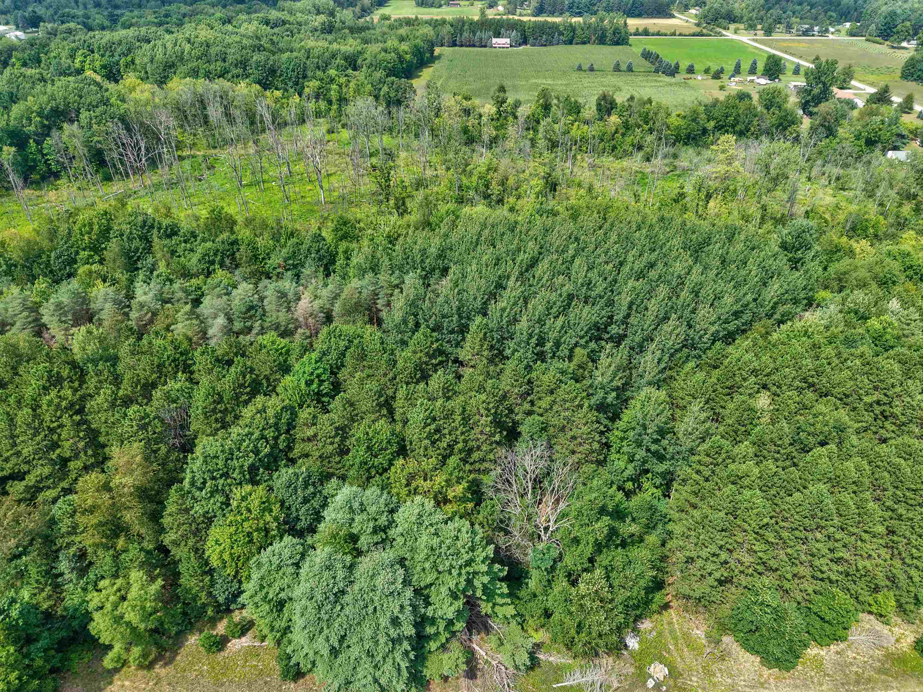 7200 Hess Road Property Photo 14