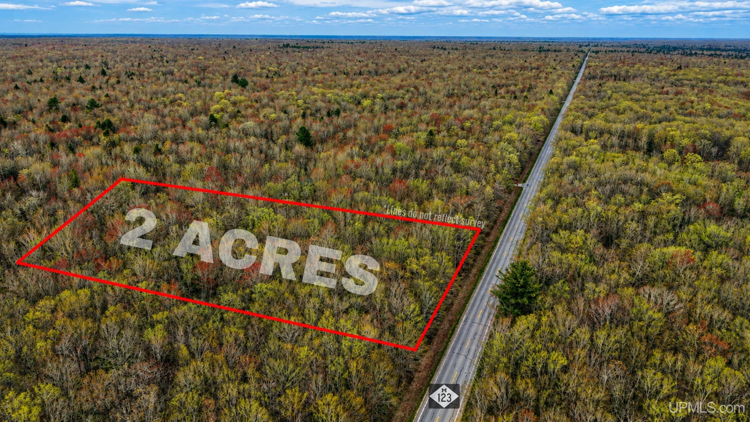 Tbd M-123 Highway Property Photo 1