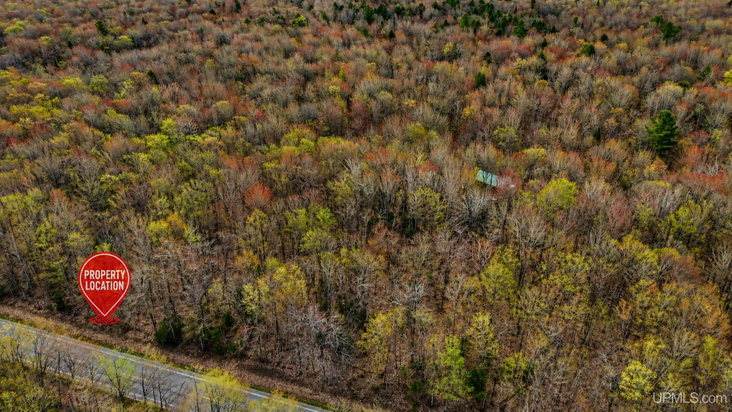 Tbd M-123 Highway Property Photo 3