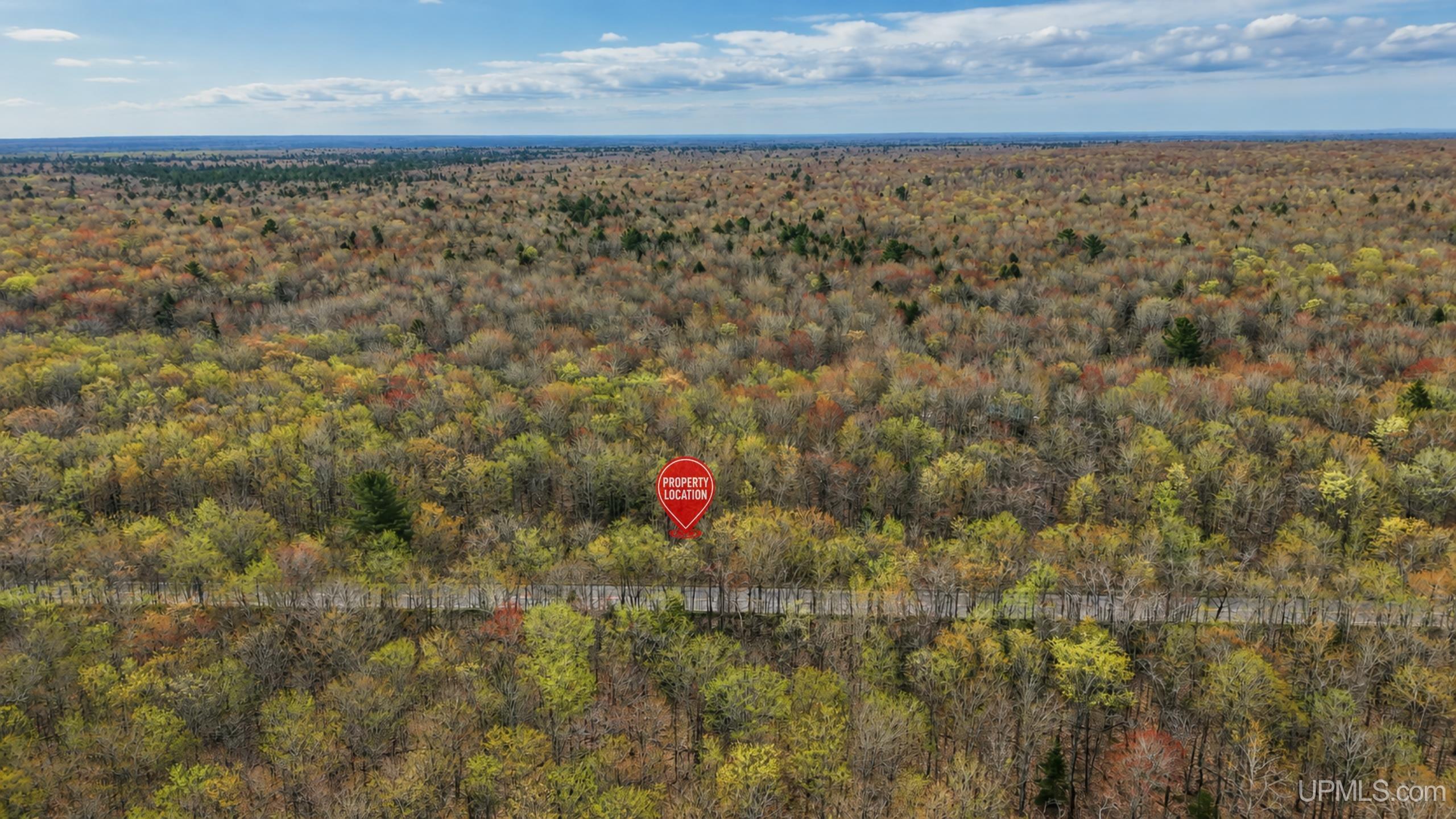 Tbd M-123 Highway Property Photo 4