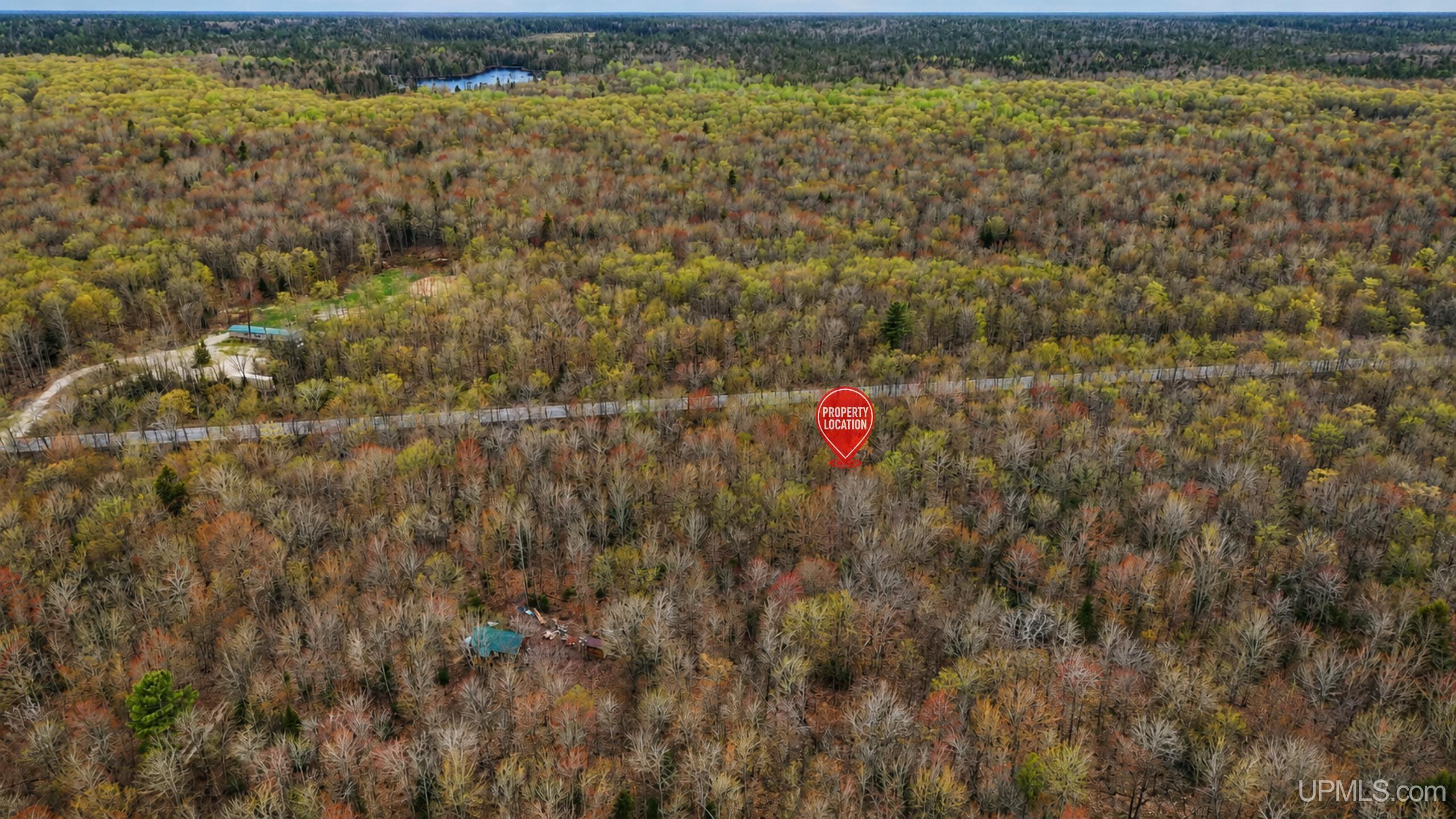Tbd M-123 Highway Property Photo 5