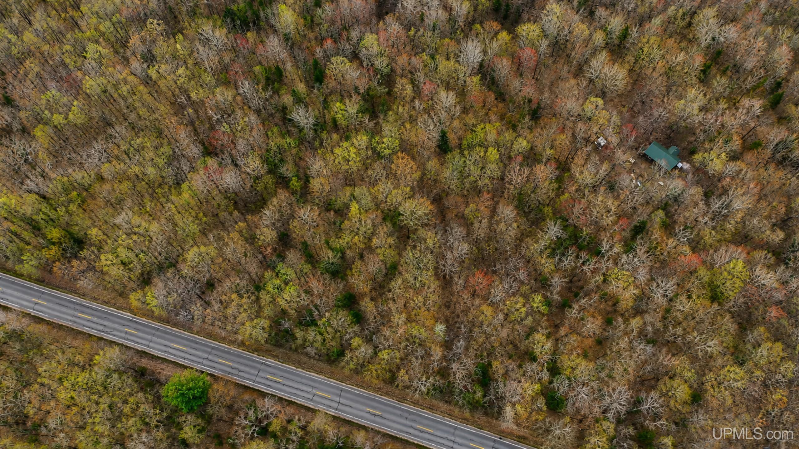 Tbd M-123 Highway Property Photo 6