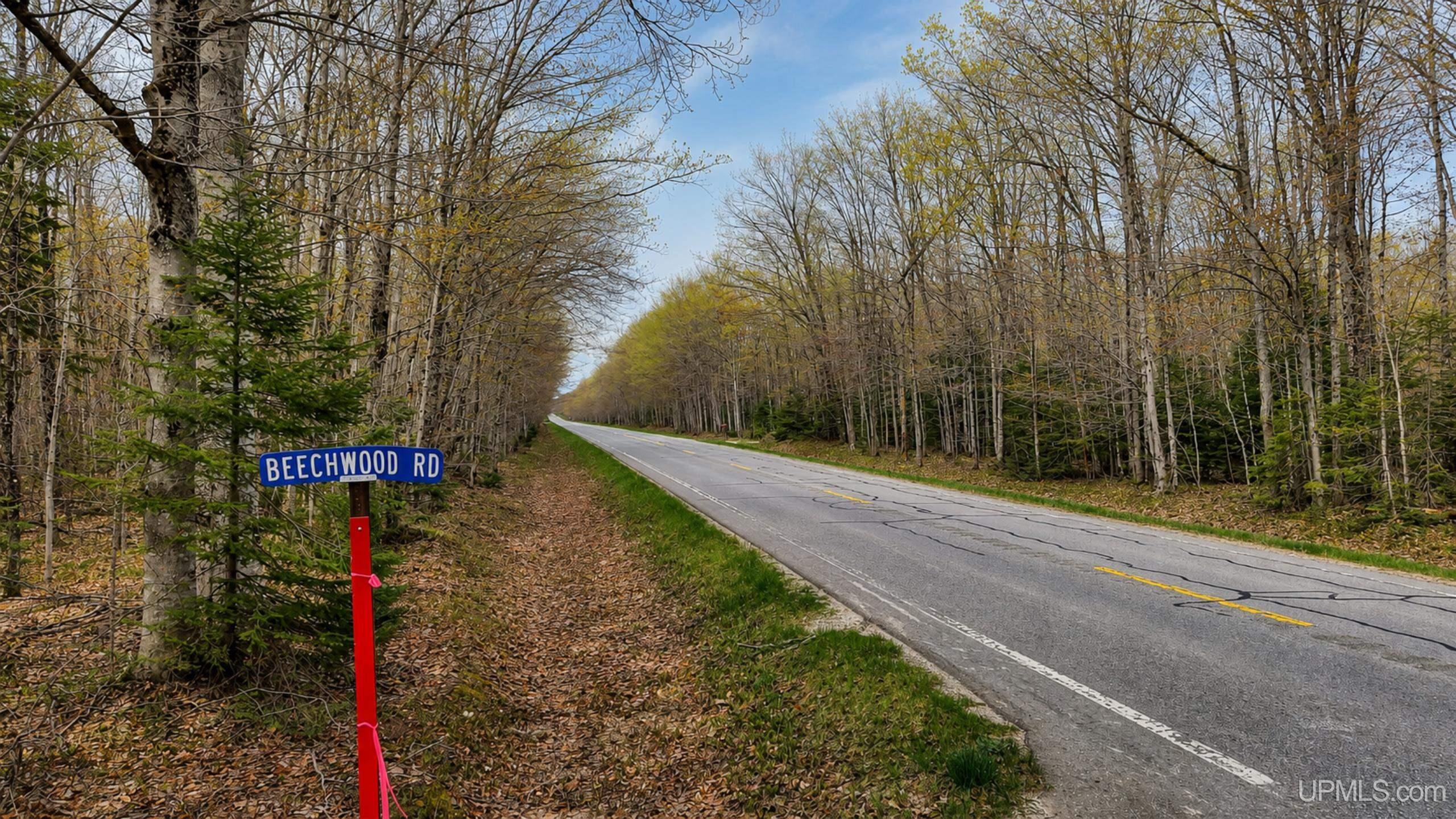 Tbd M-123 Highway Property Photo 7