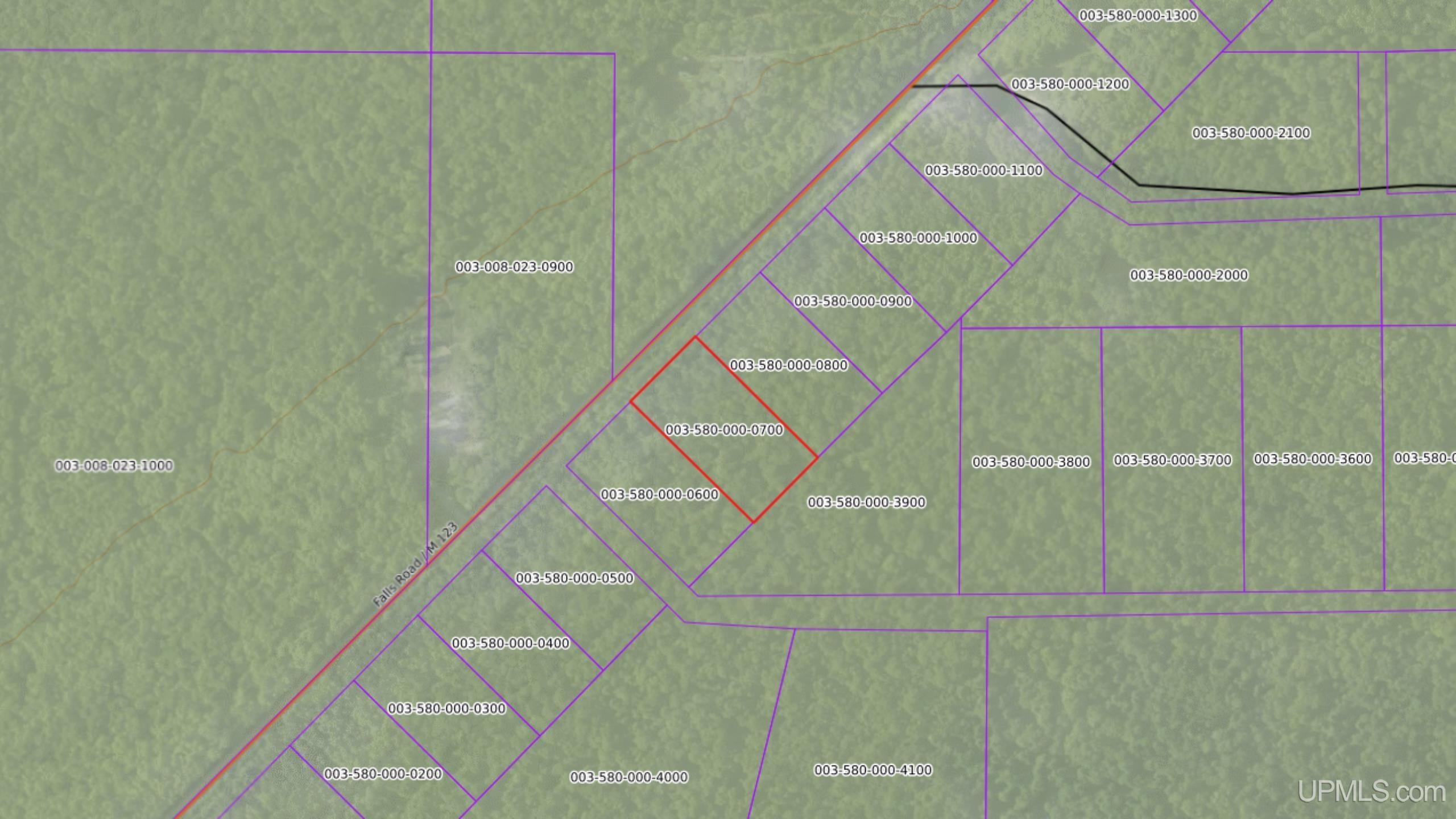 Tbd M-123 Highway Property Photo 10