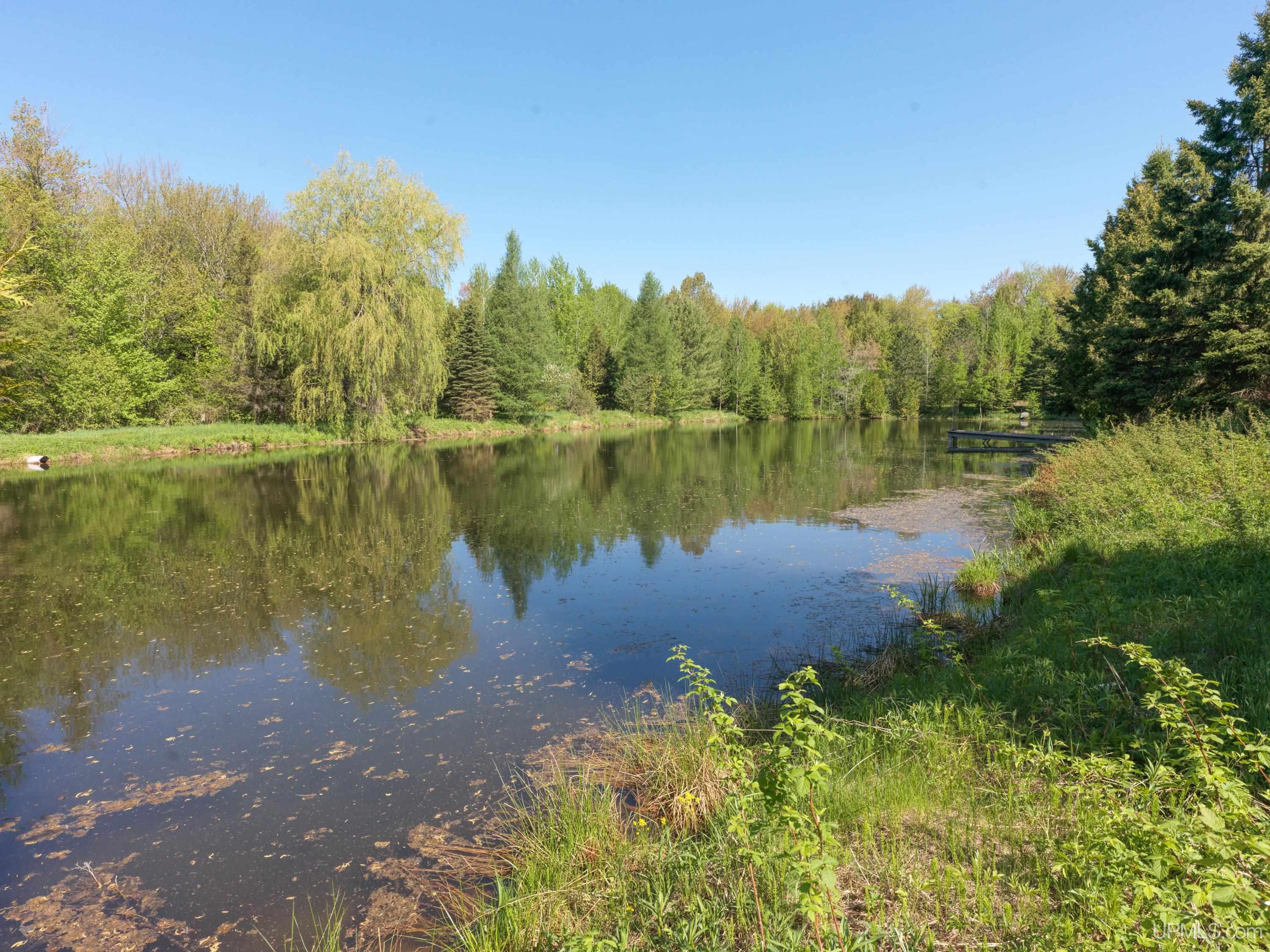 N6355 Alger Heights Road Property Photo 28