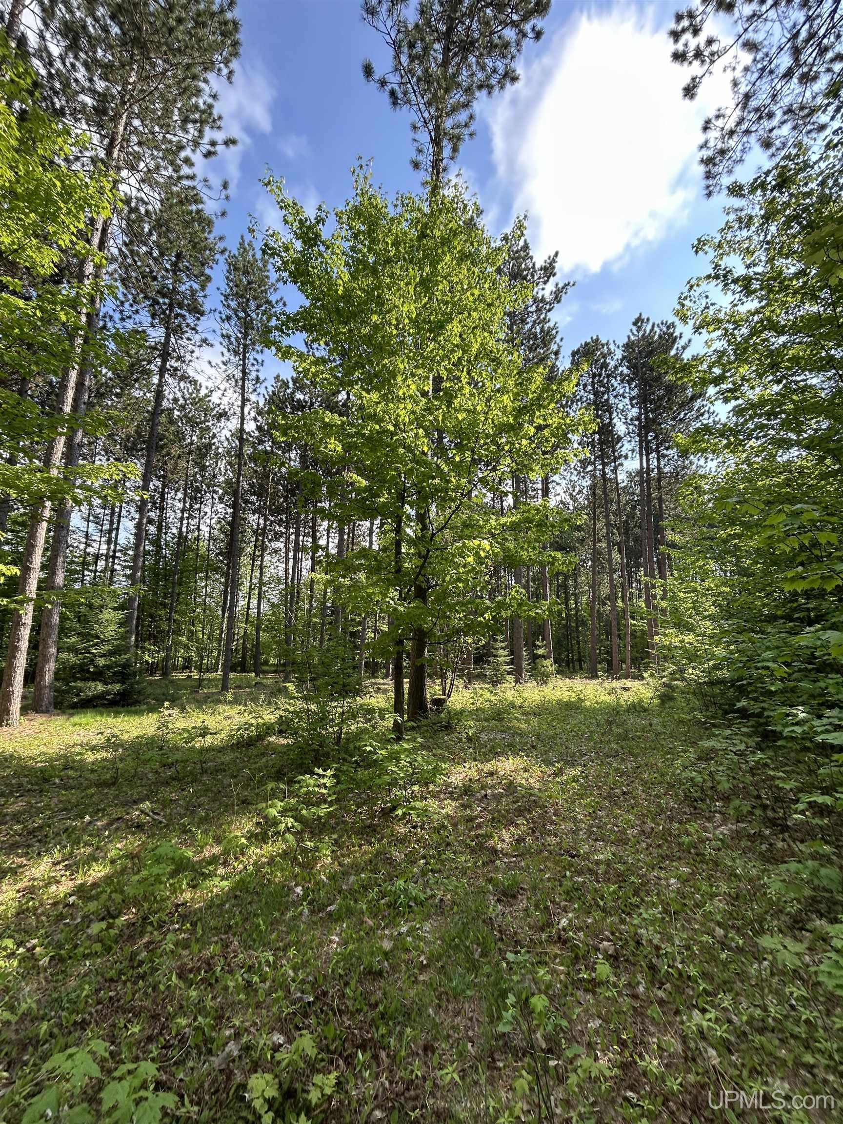 120 Pinton Lane Property Photo 1