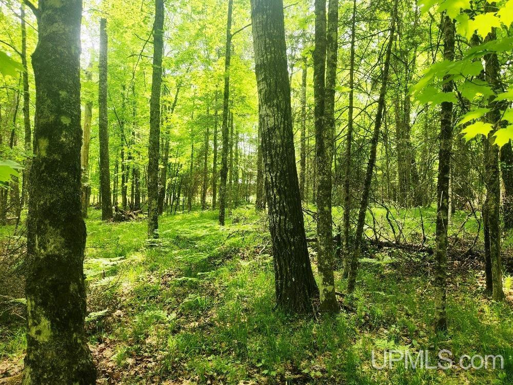 Lot 5 Wilderness Way Road Property Photo 8