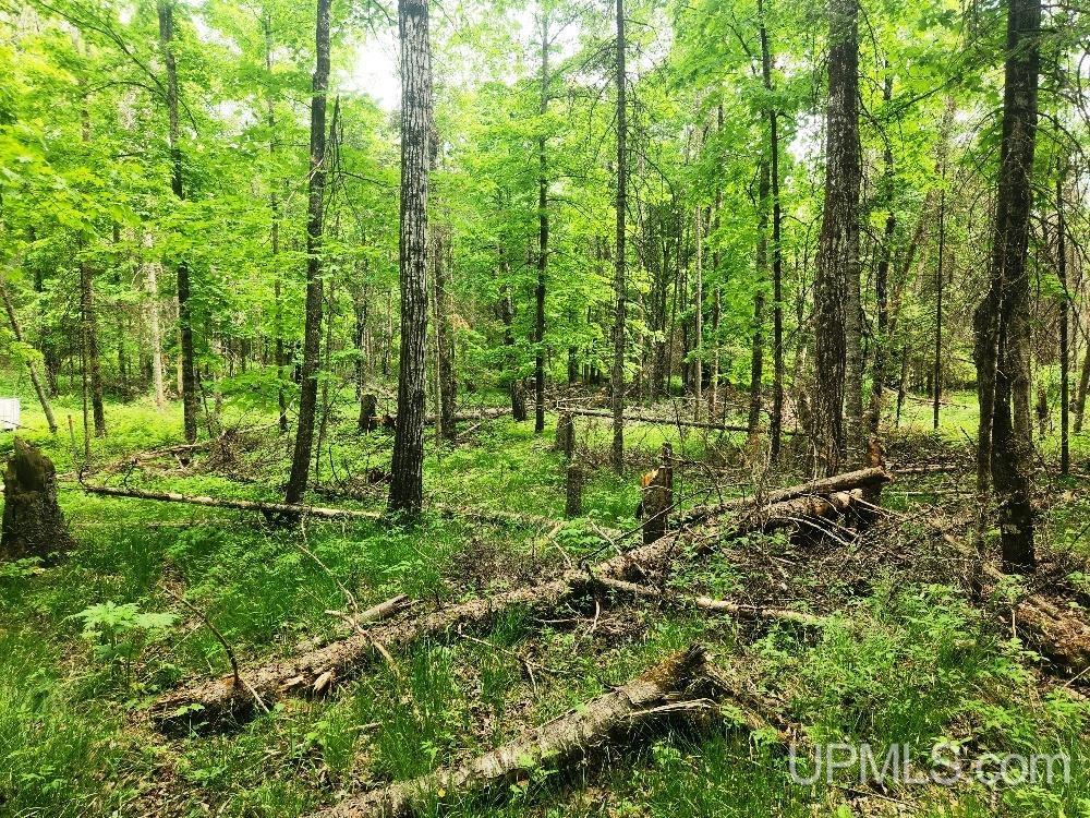 Lot 5 Wilderness Way Road Property Photo 9
