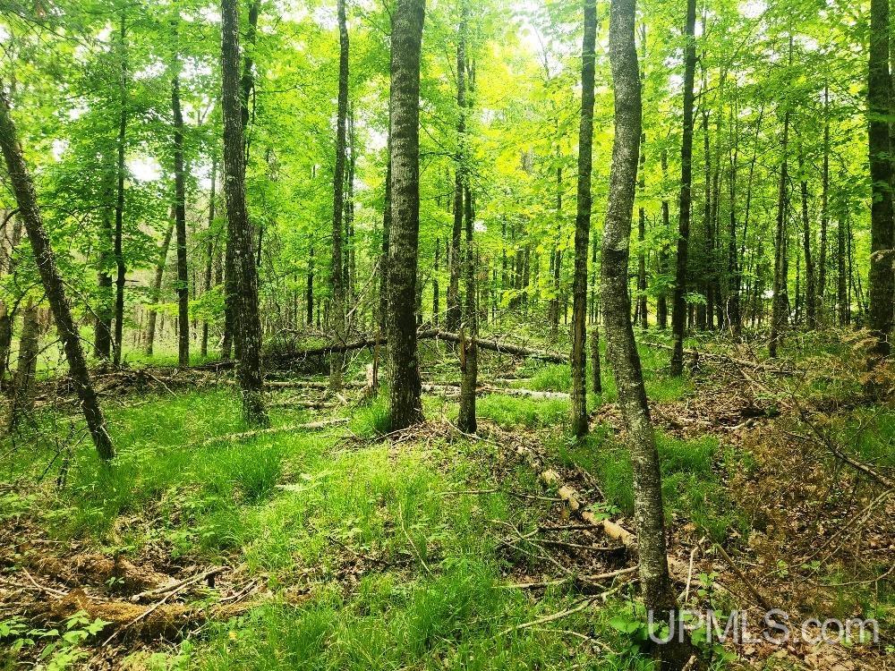 Lot 5 Wilderness Way Road Property Photo 10