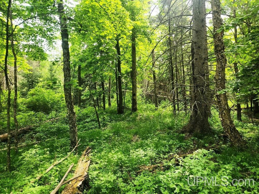 Lot 5 Wilderness Way Road Property Photo 11
