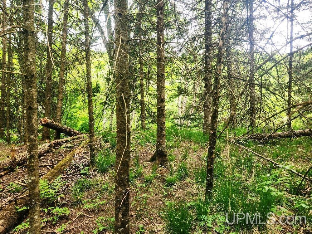 Lot 5 Wilderness Way Road Property Photo 12