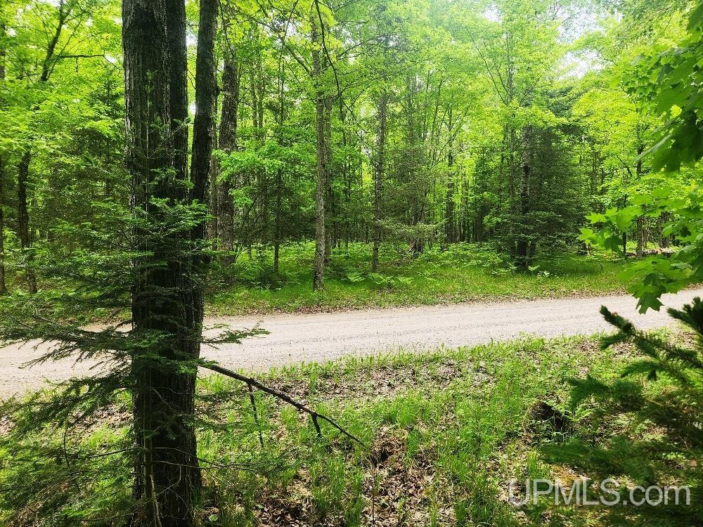 Lot 5 Wilderness Way Road Property Photo 14