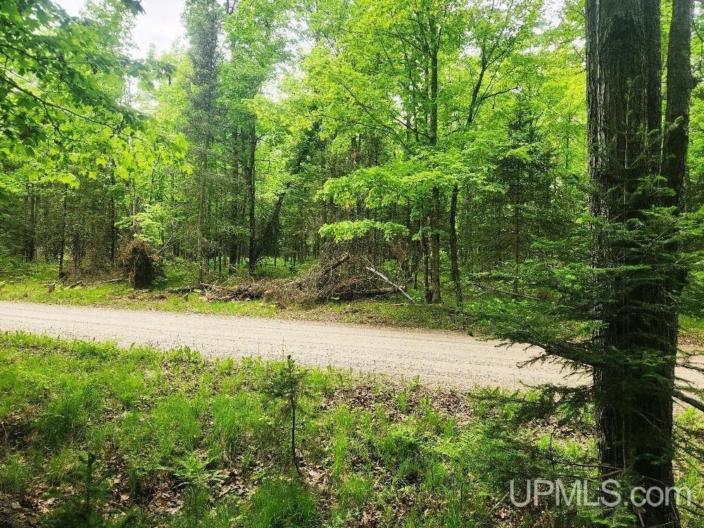 Lot 5 Wilderness Way Road Property Photo 15