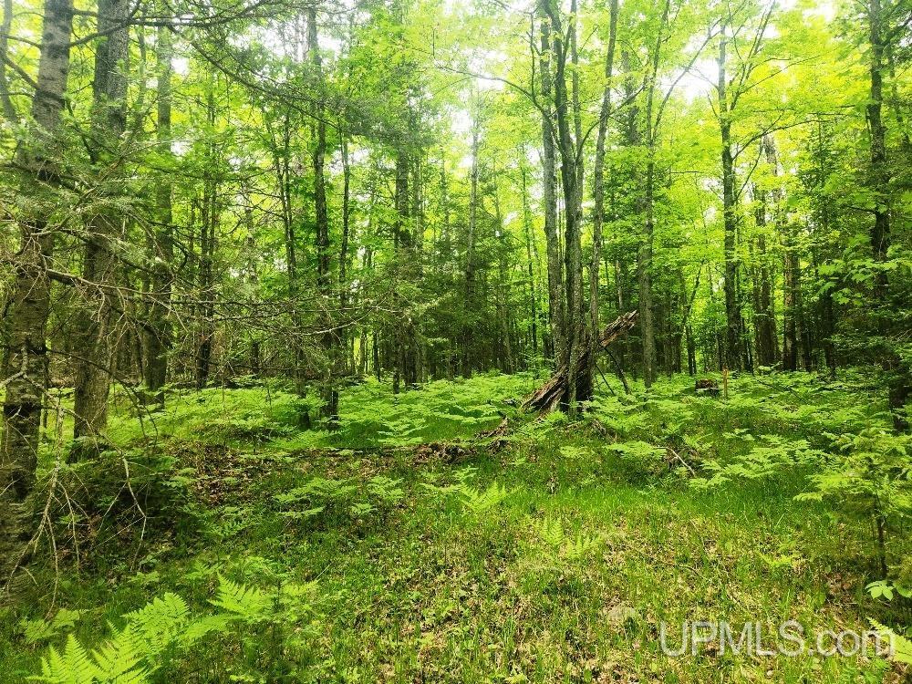 Lot 5 Wilderness Way Road Property Photo 16