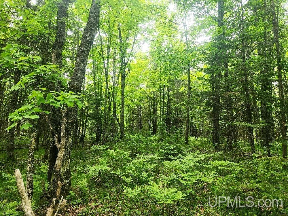 Lot 5 Wilderness Way Road Property Photo 17